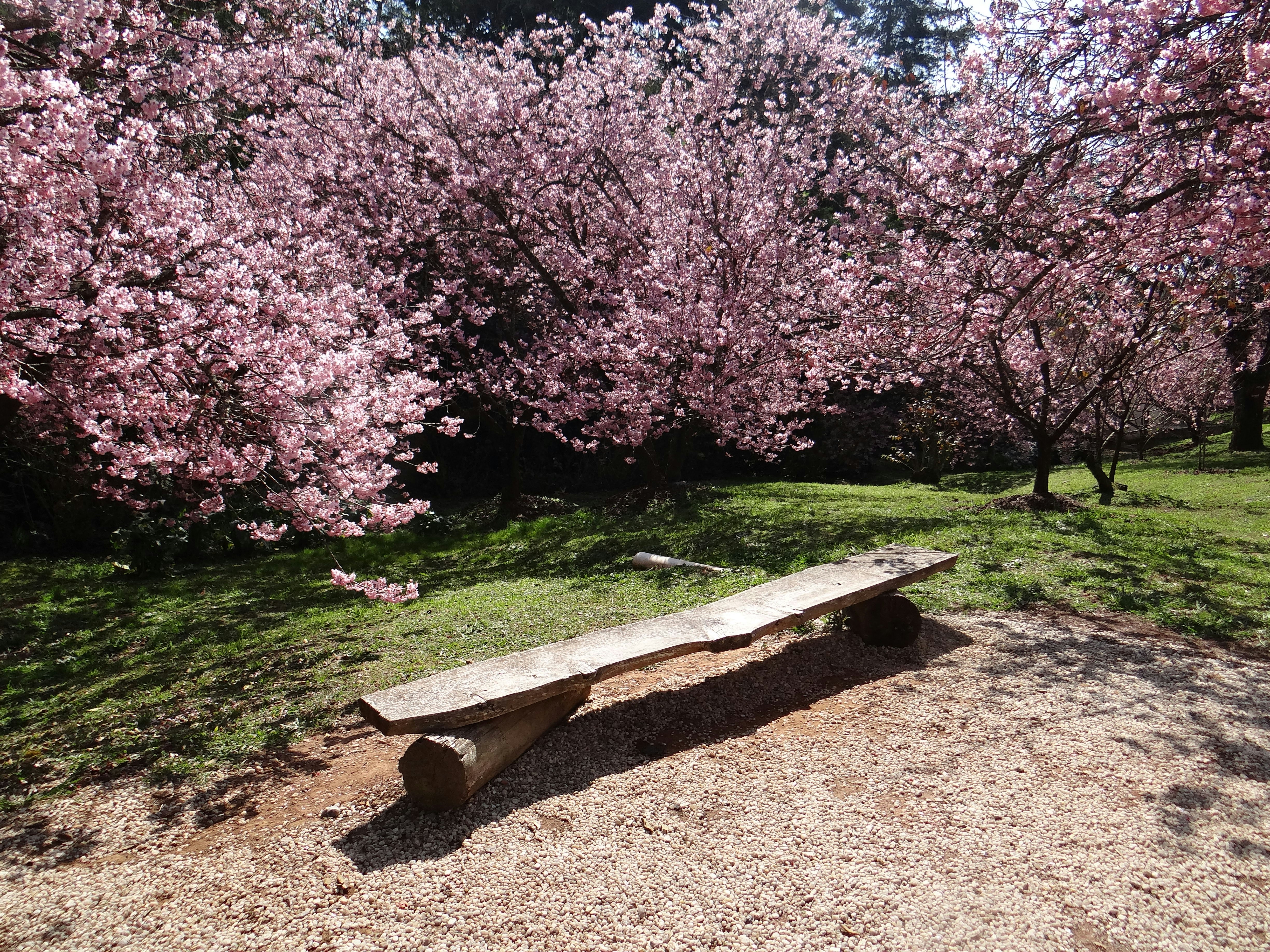 Photo by macornelsen