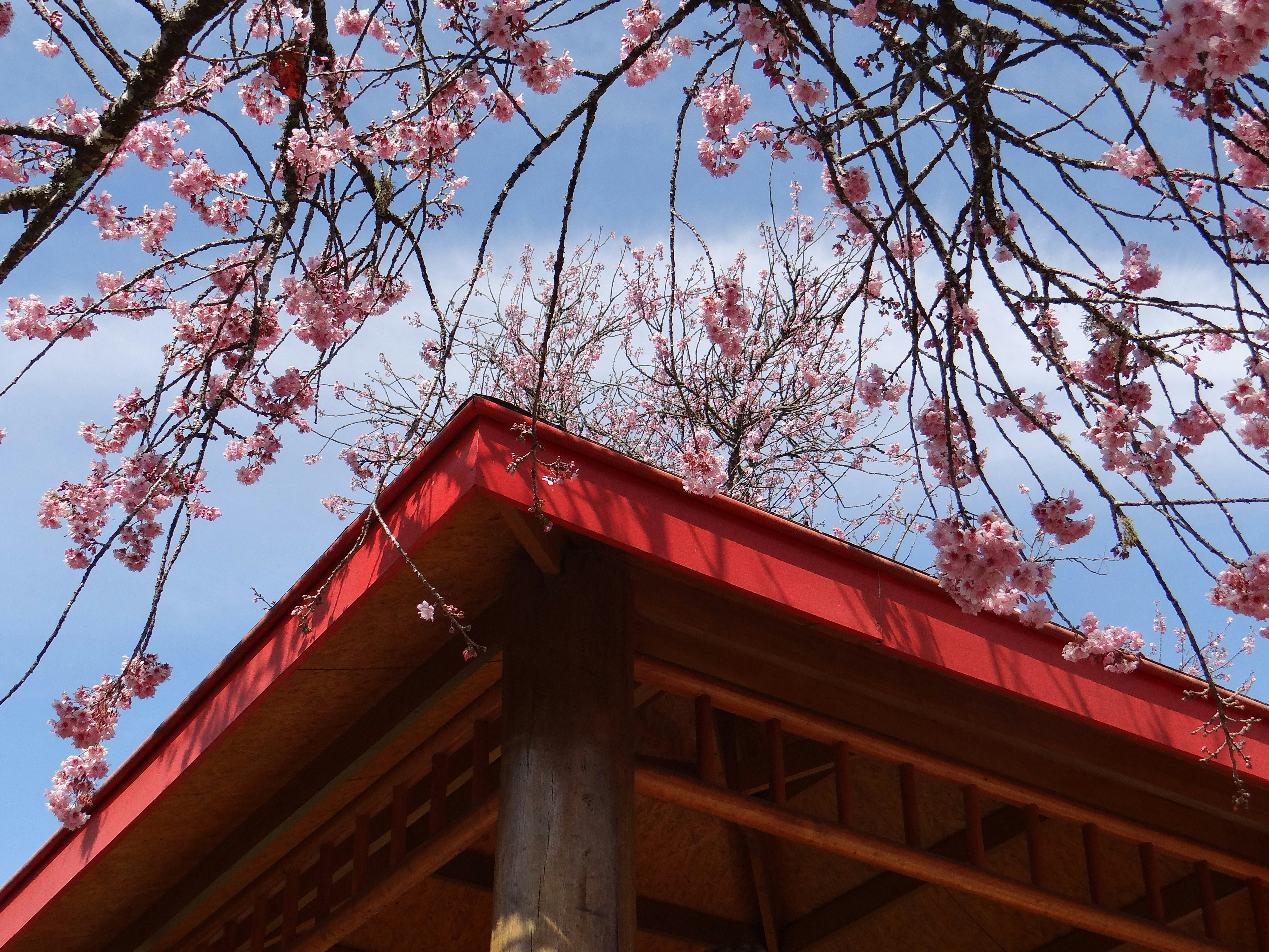 Photo by macornelsen