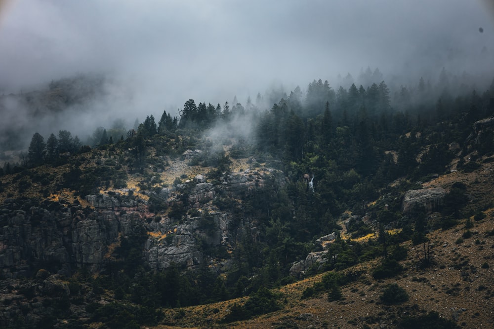 a foggy mountain side