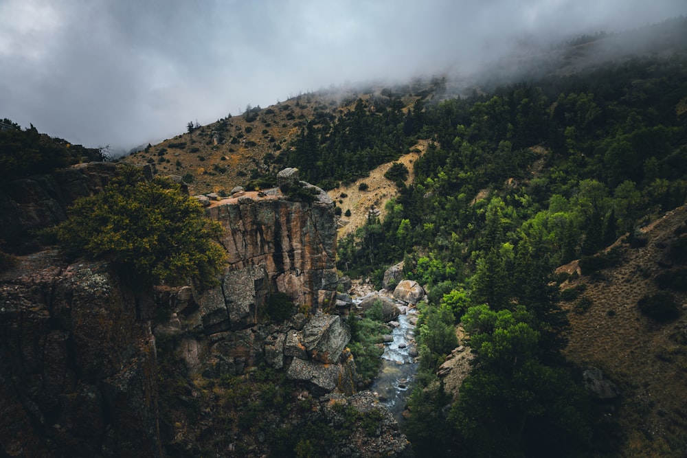 a rocky cliff with trees on it