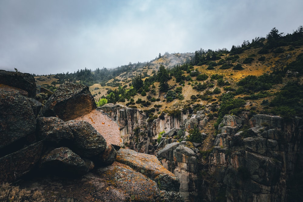 a rocky cliff with trees