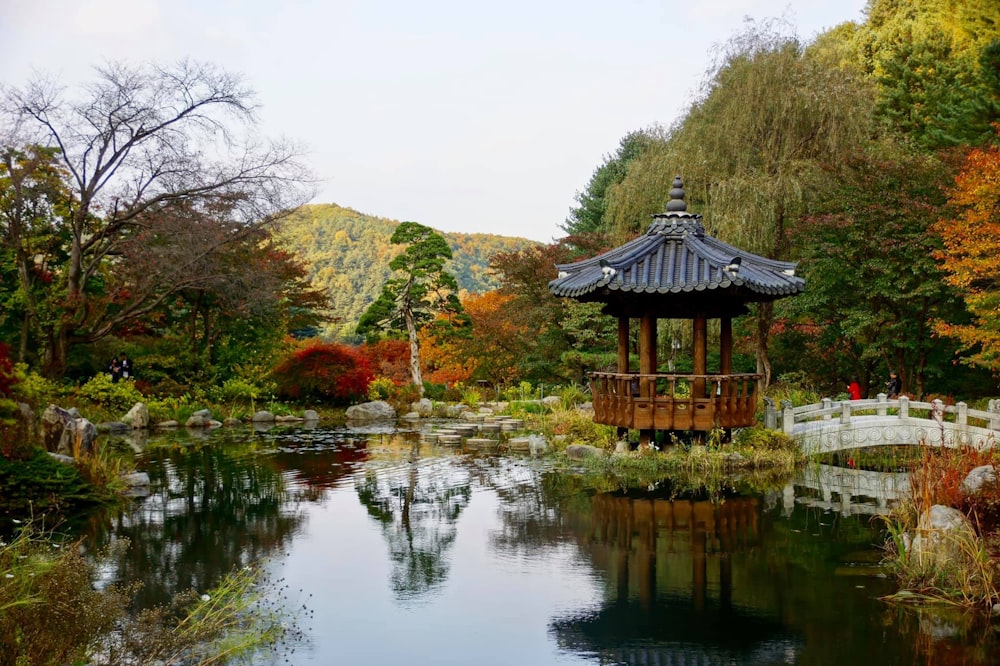 a pagoda by a pond