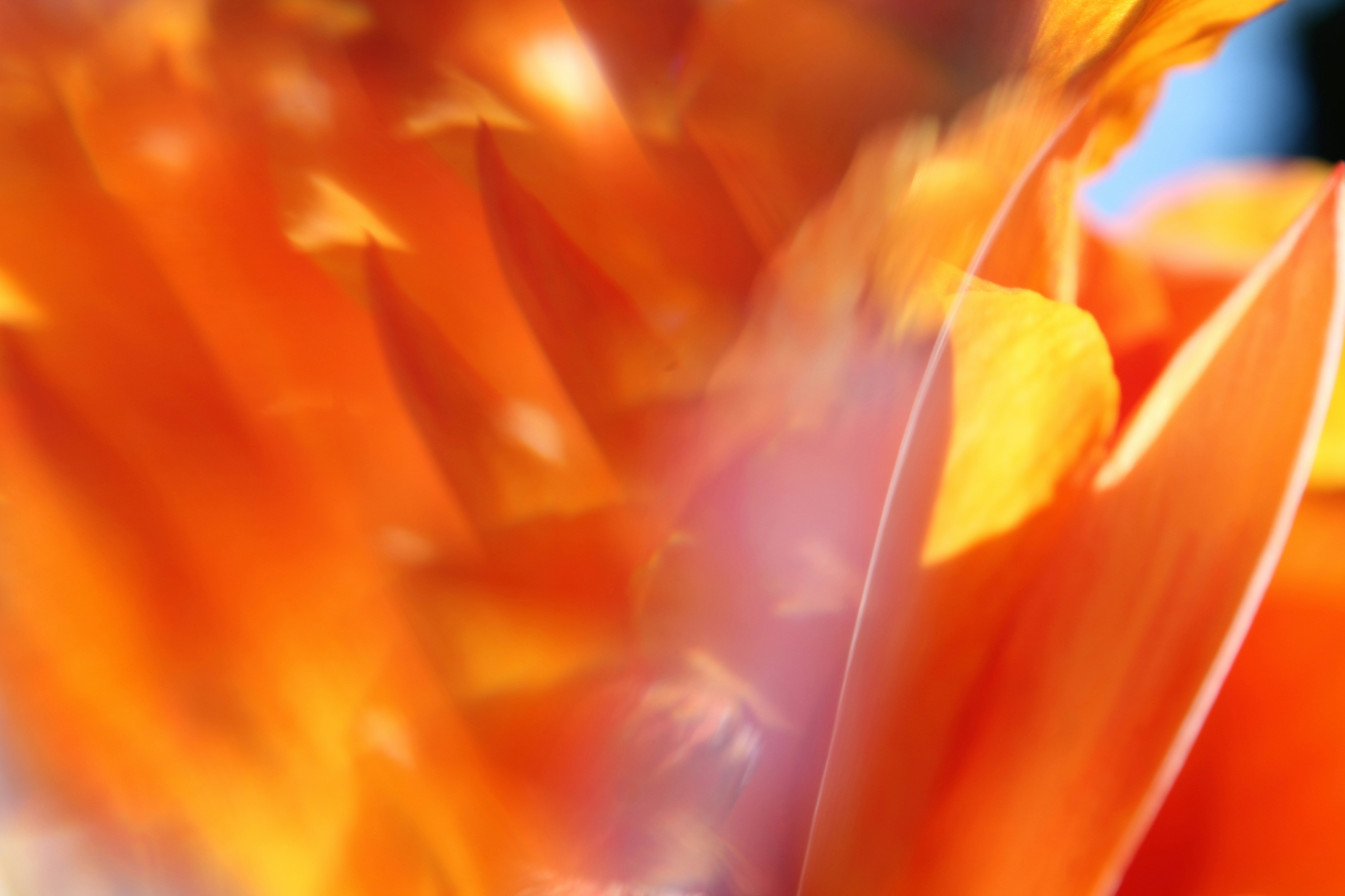 Photo by nicholassorrenti