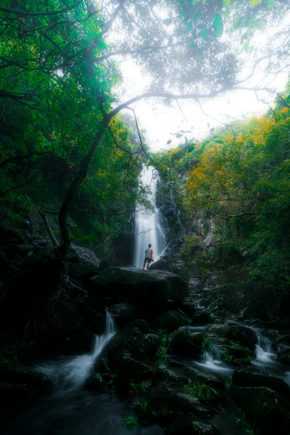 Una persona parada en una roca frente a una cascada