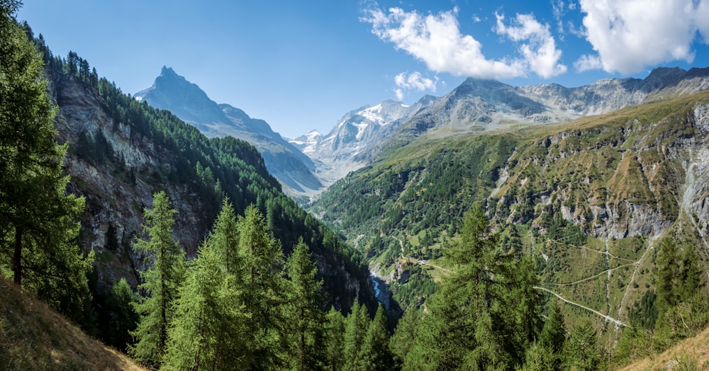 a landscape with trees and mountains