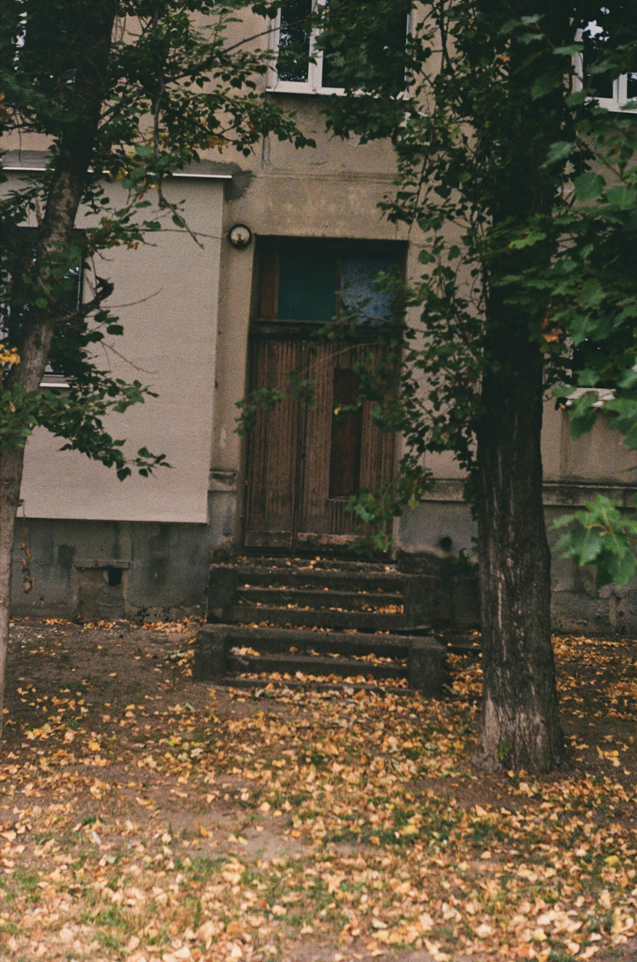 Photo by ana_petrenko