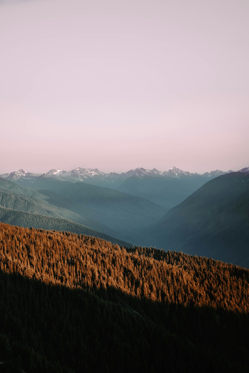 Eine Landschaft mit Hügeln und Bäumen