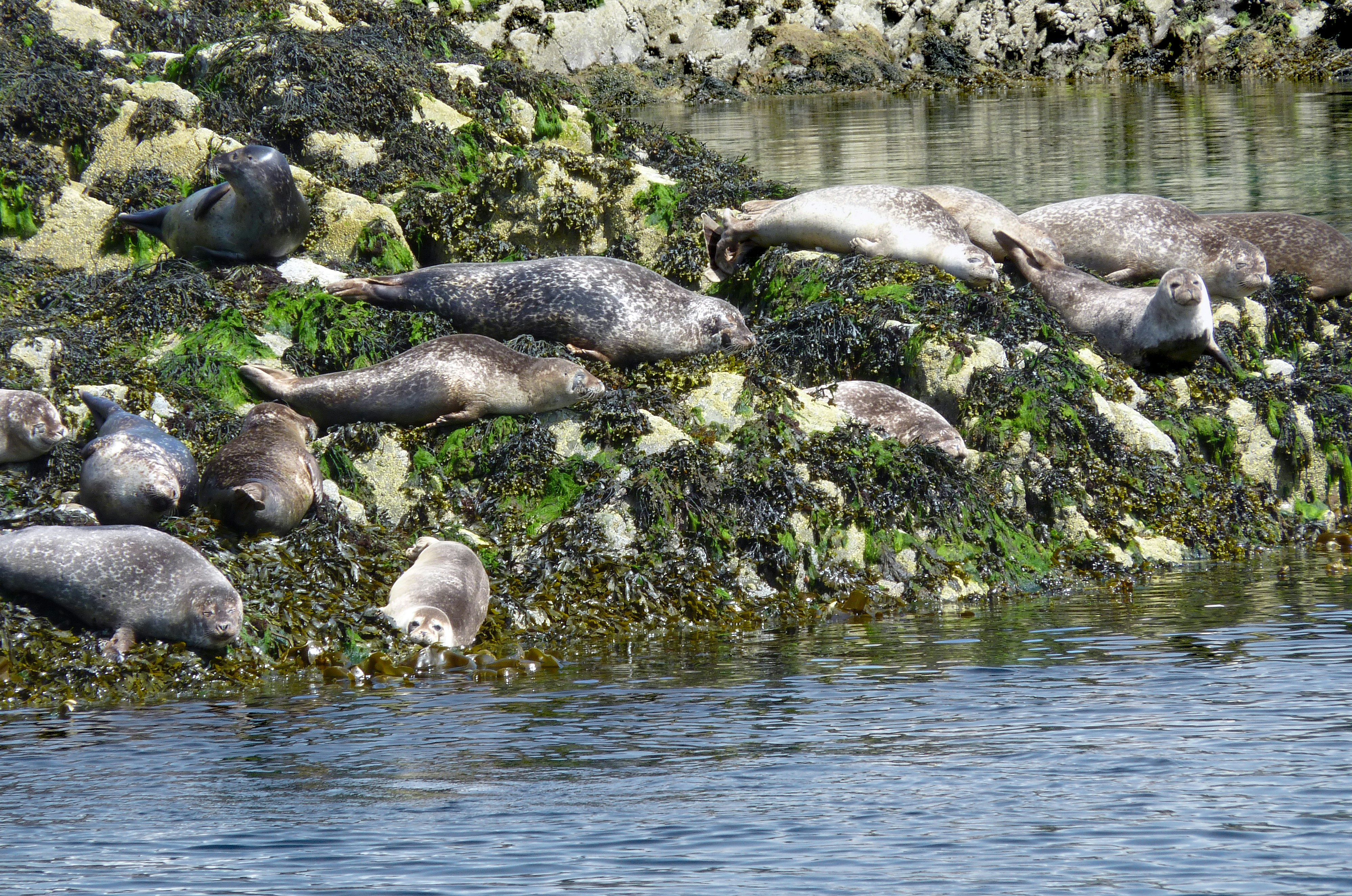 Photo by craigthomas