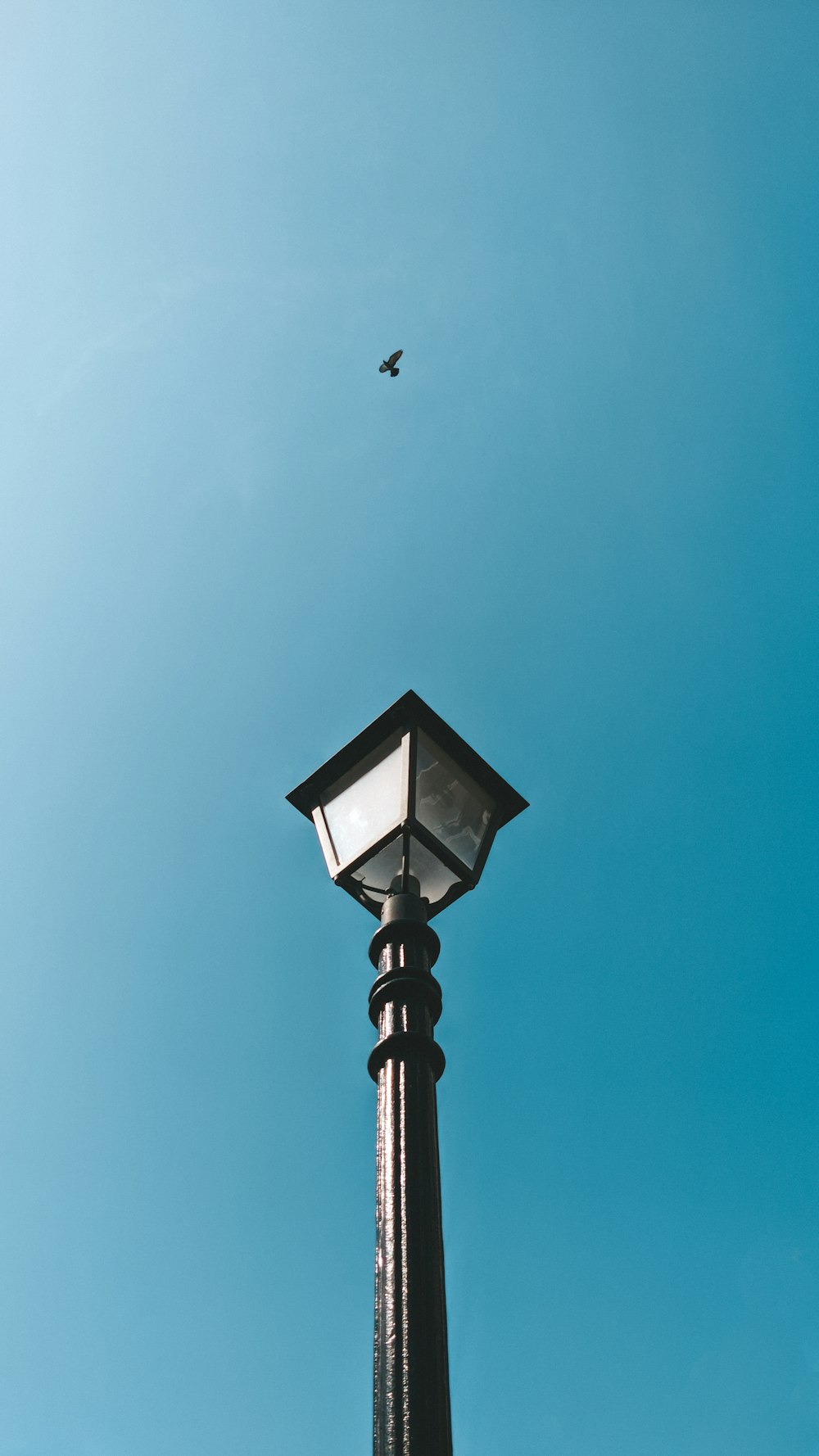 a bird flying over a tall tower
