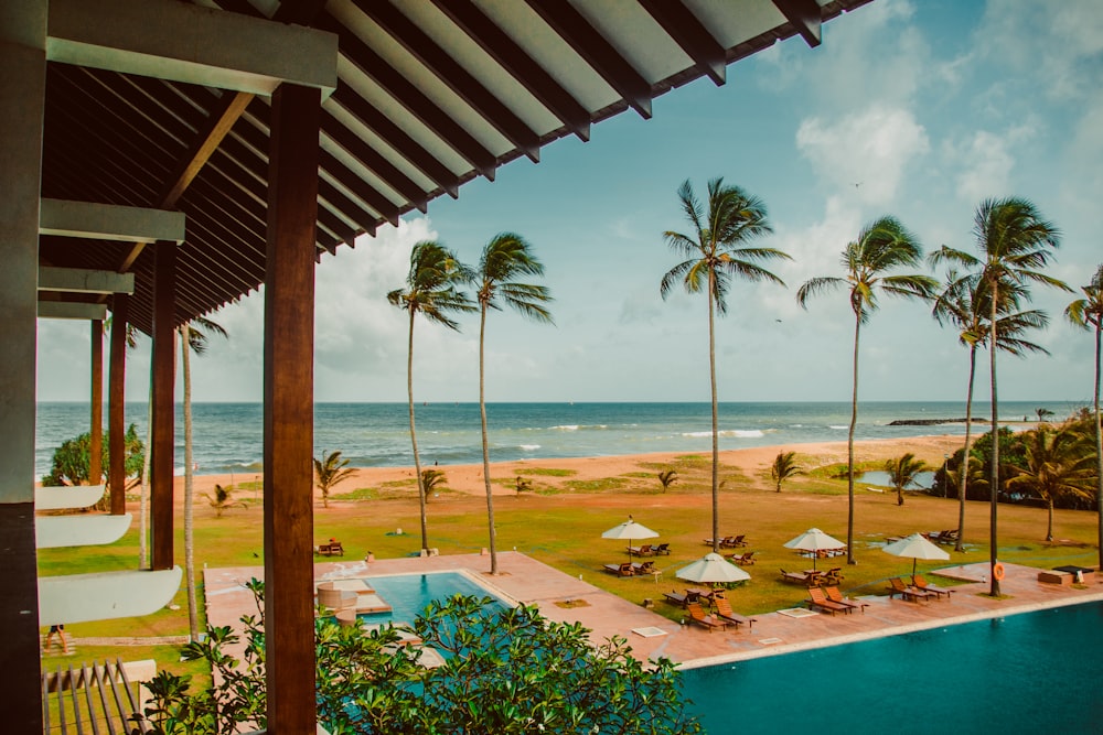 a pool with palm trees and a beach