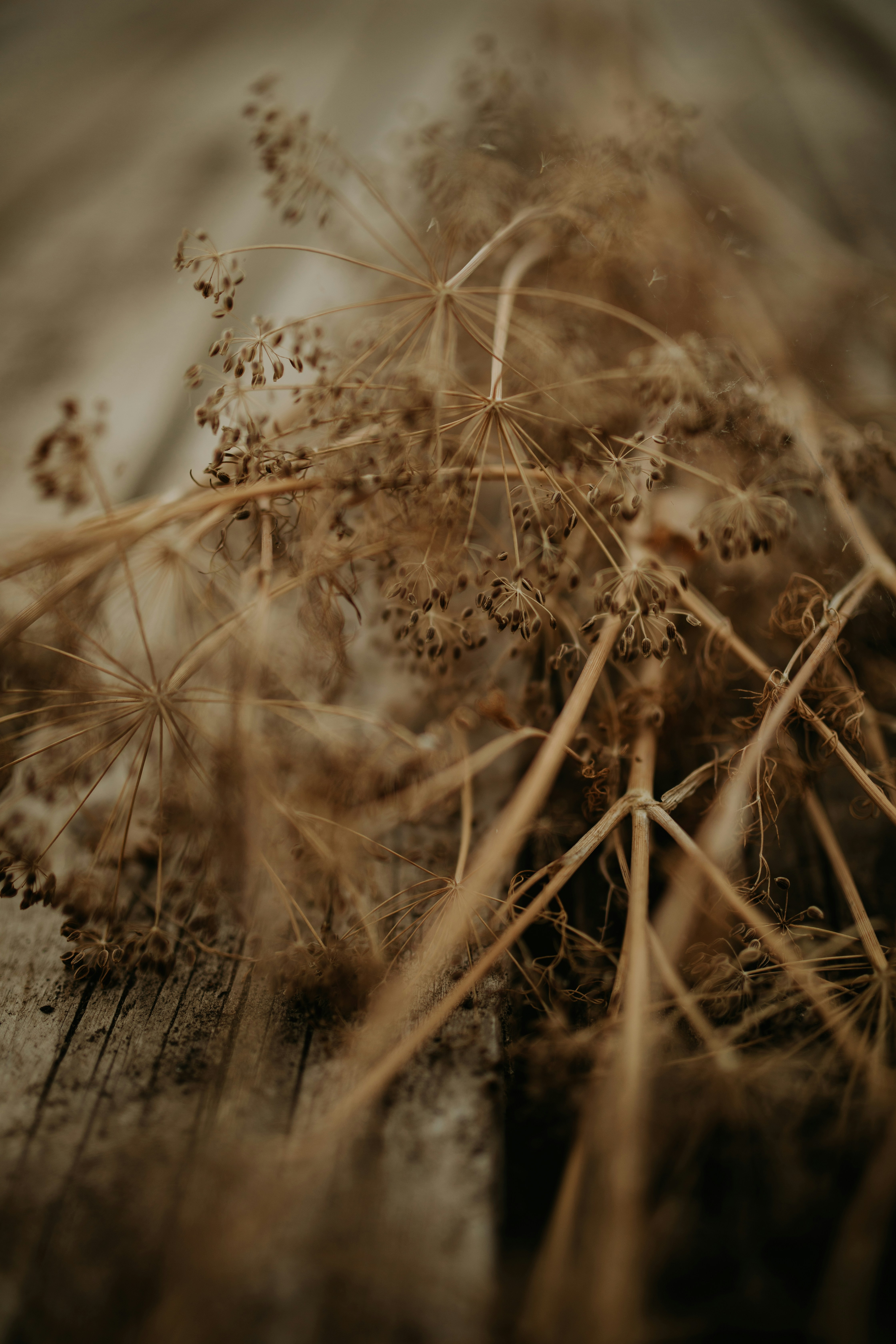 Photo by adinapatrana