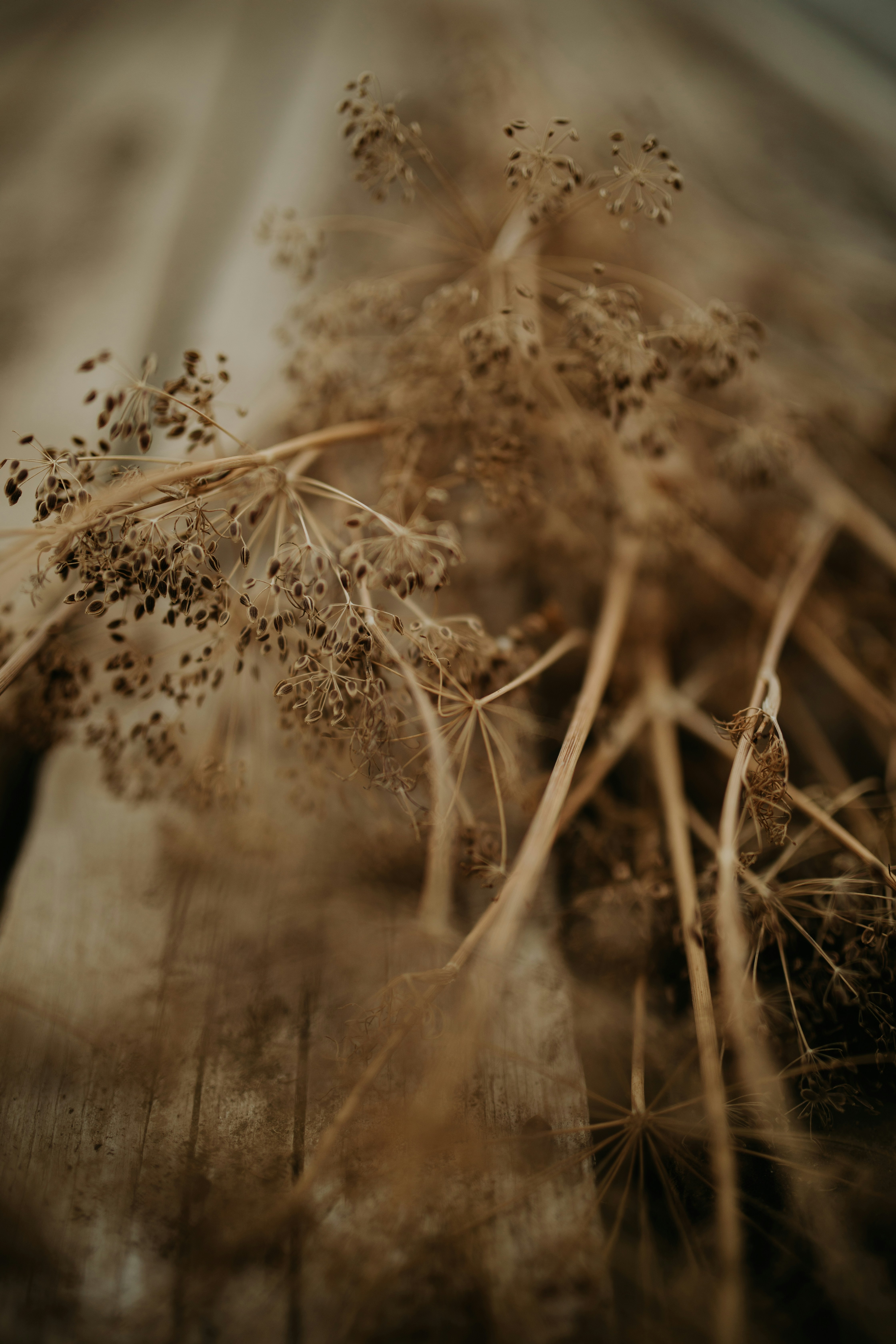 Photo by adinapatrana