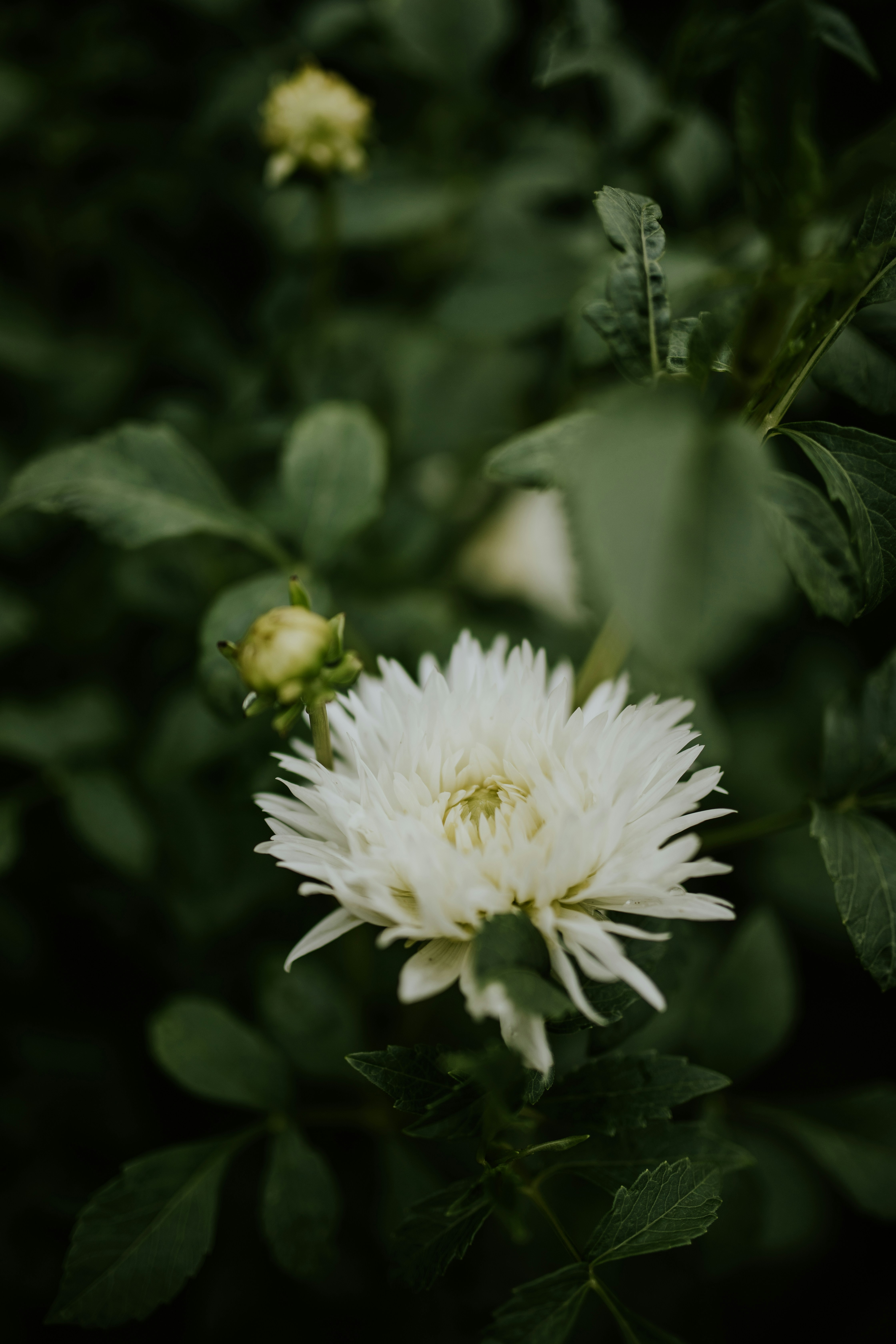 Photo by adinapatrana