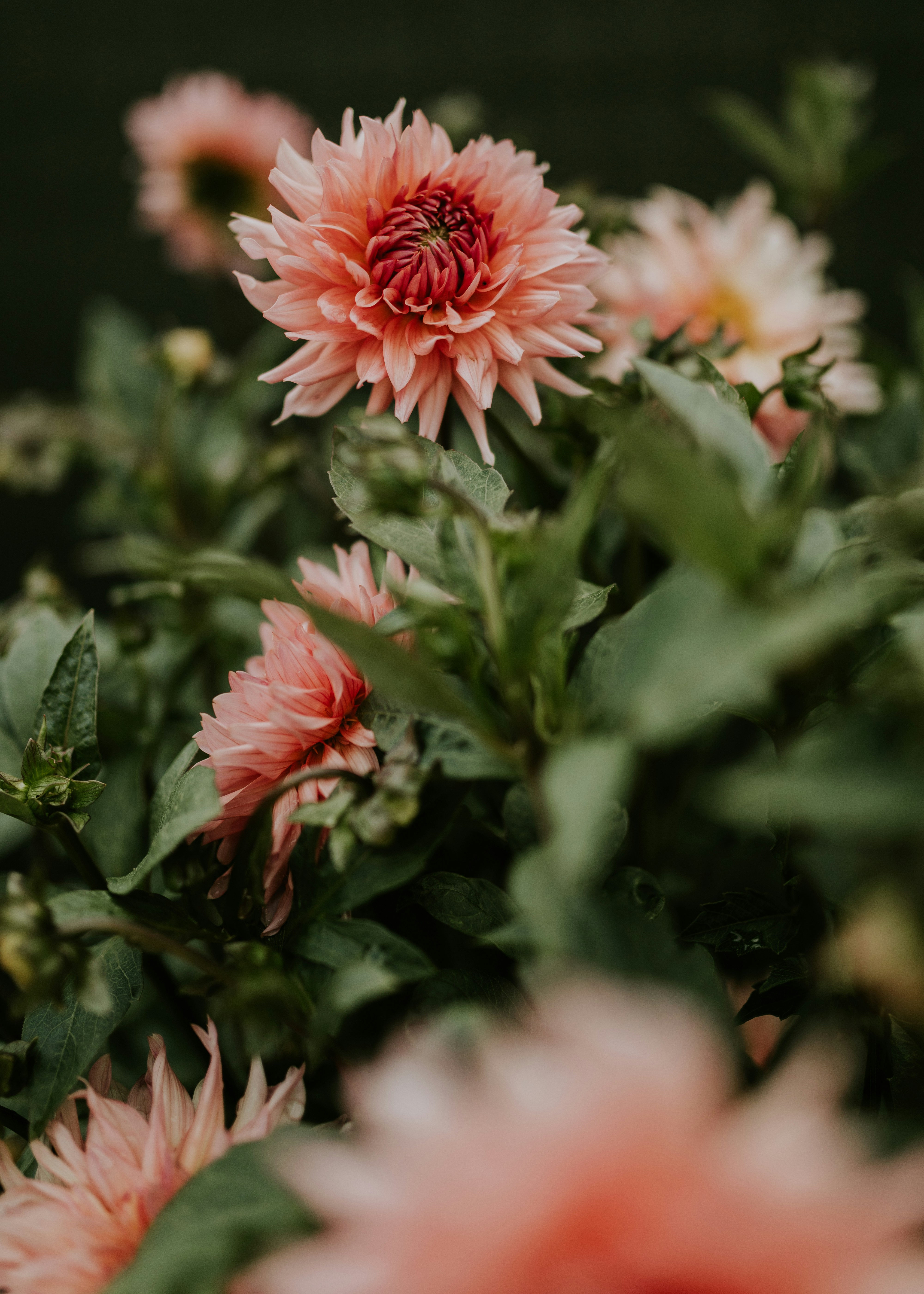 Photo by adinapatrana