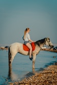 a person riding a horse on a beach