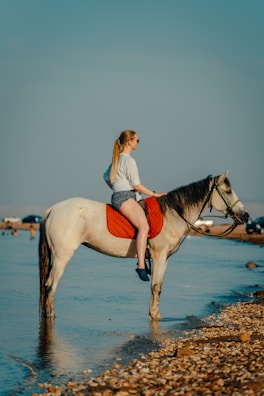 a person riding a horse on a beach