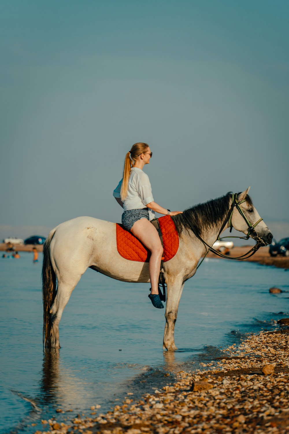 a person riding a horse on a beach