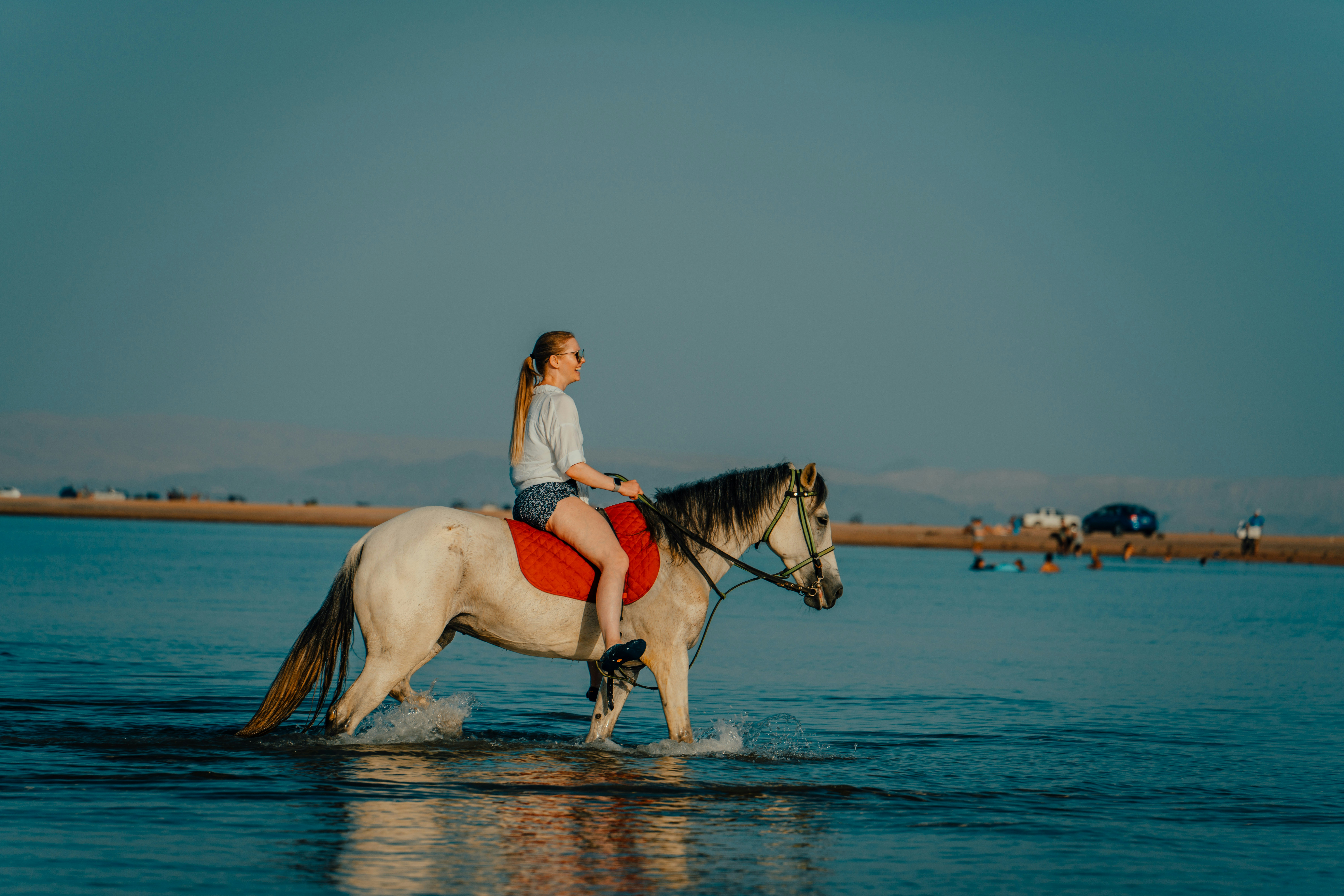 A person riding a horse in the water