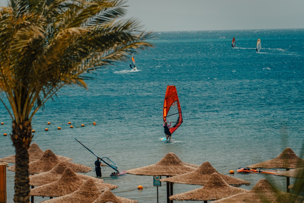 a group of people parasailing on the beach