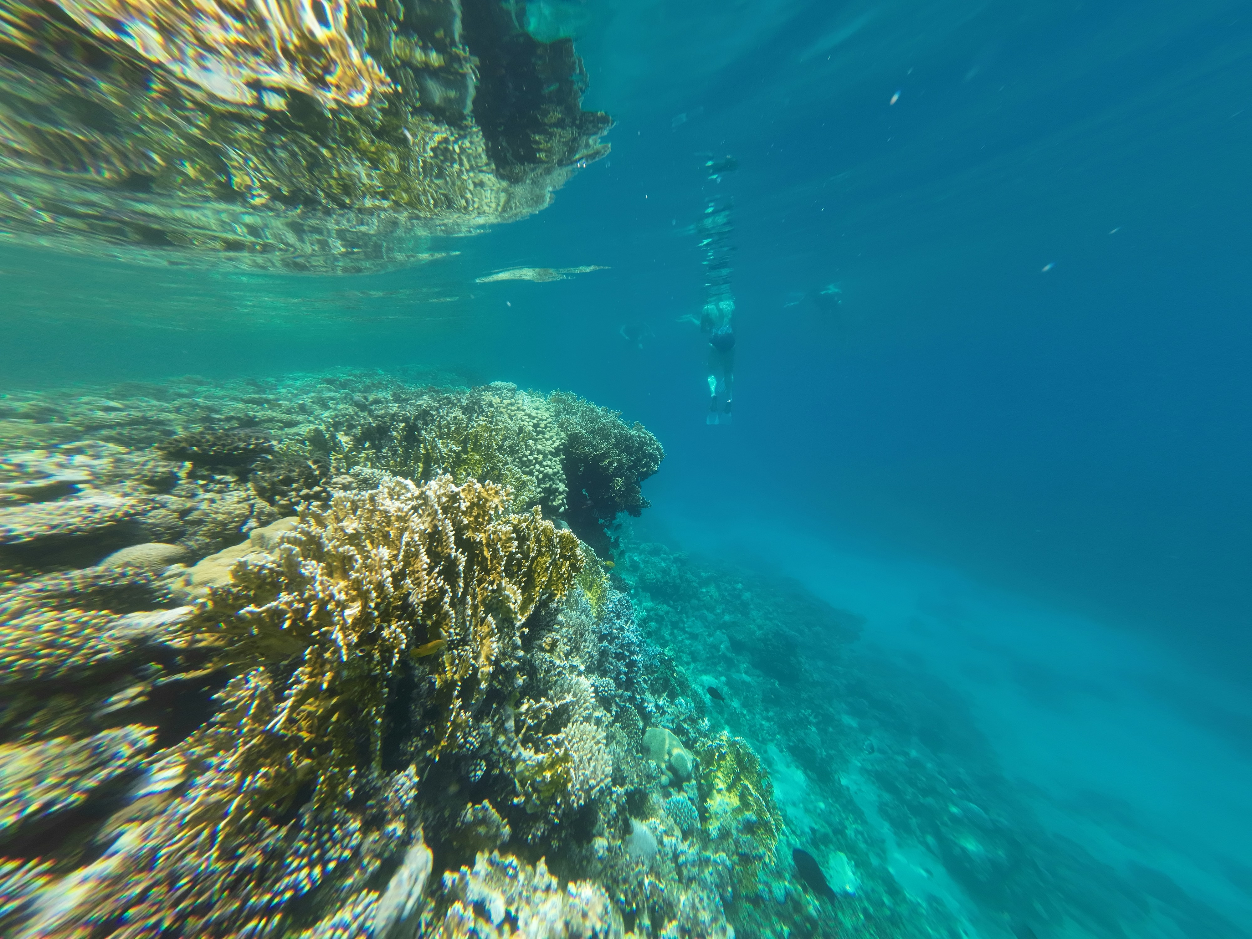 Paket Snorkeling Seru