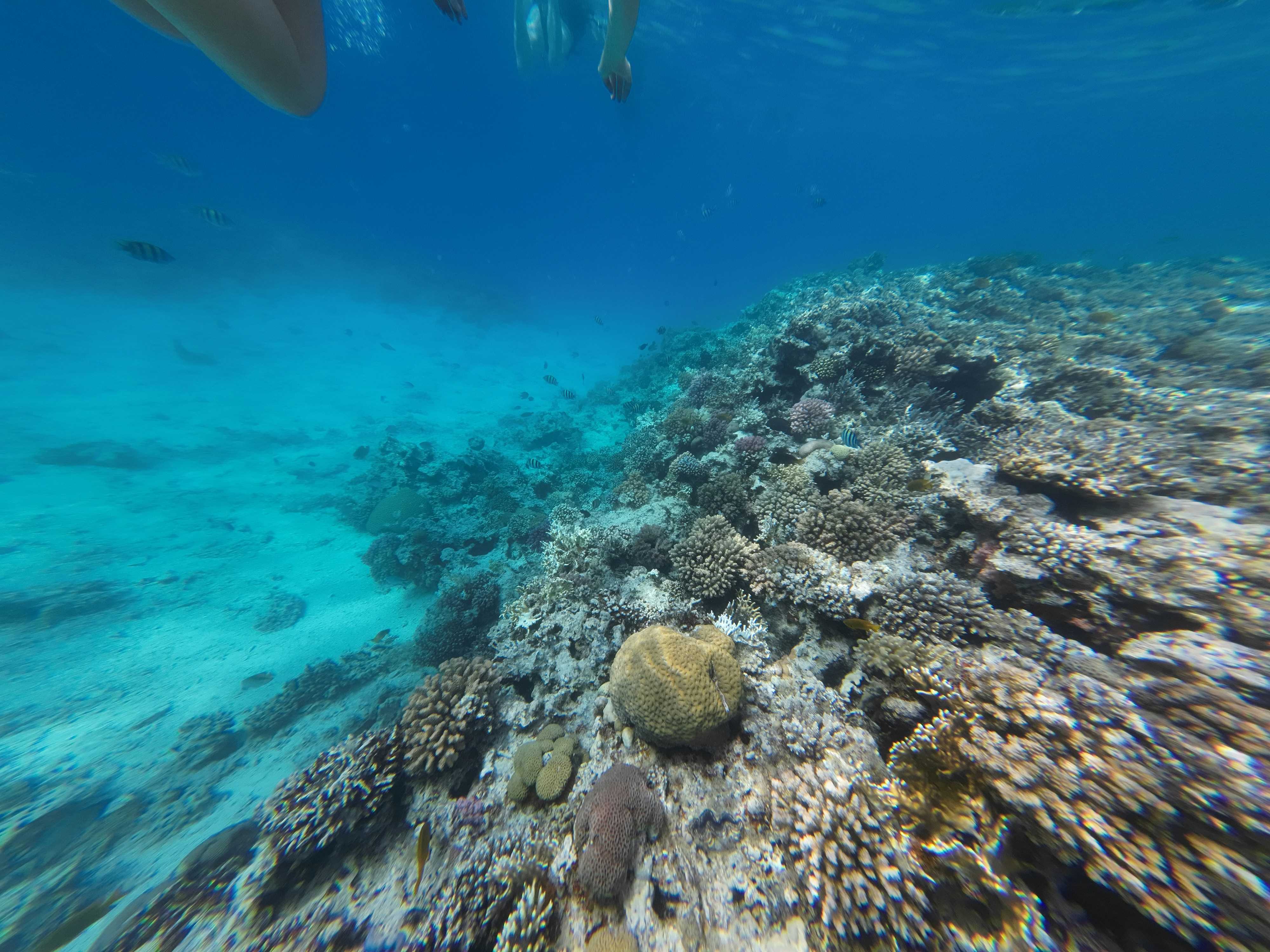 Photo by raimondklavins