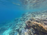 Crystal-clear underwater scene with vibrant coral reefs near Togean Islands.