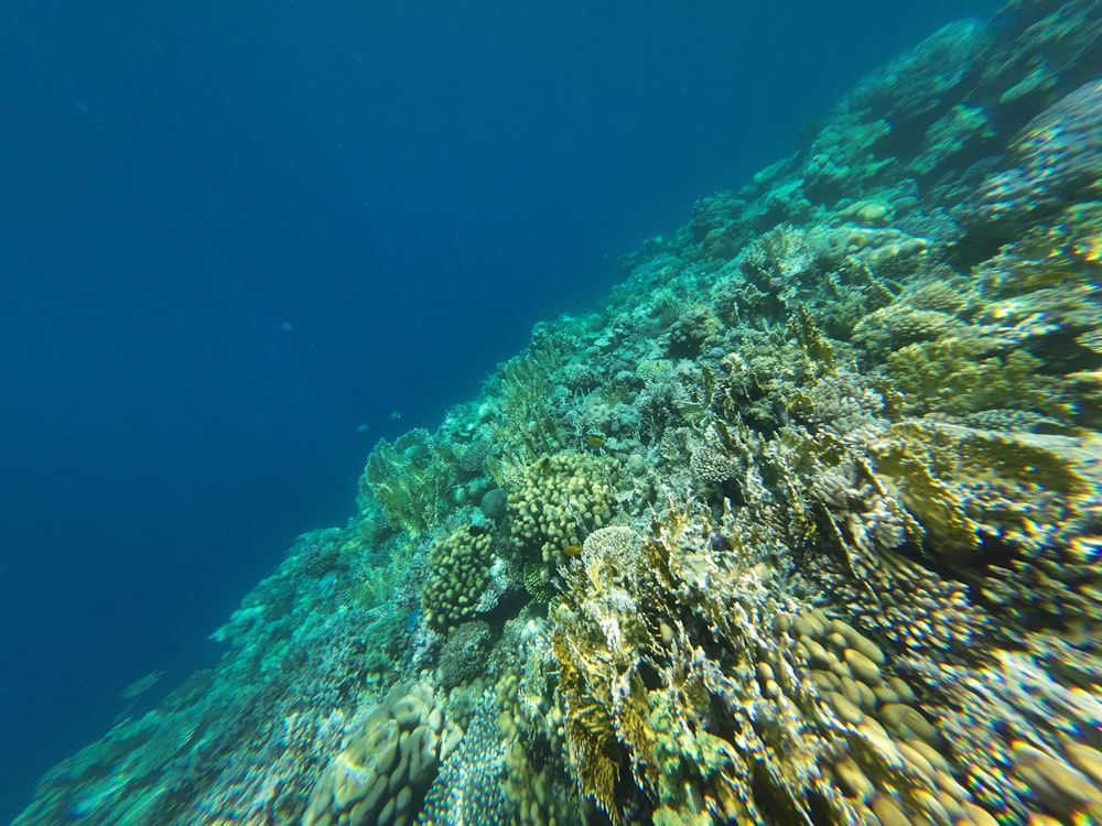 underwater view of a large rock