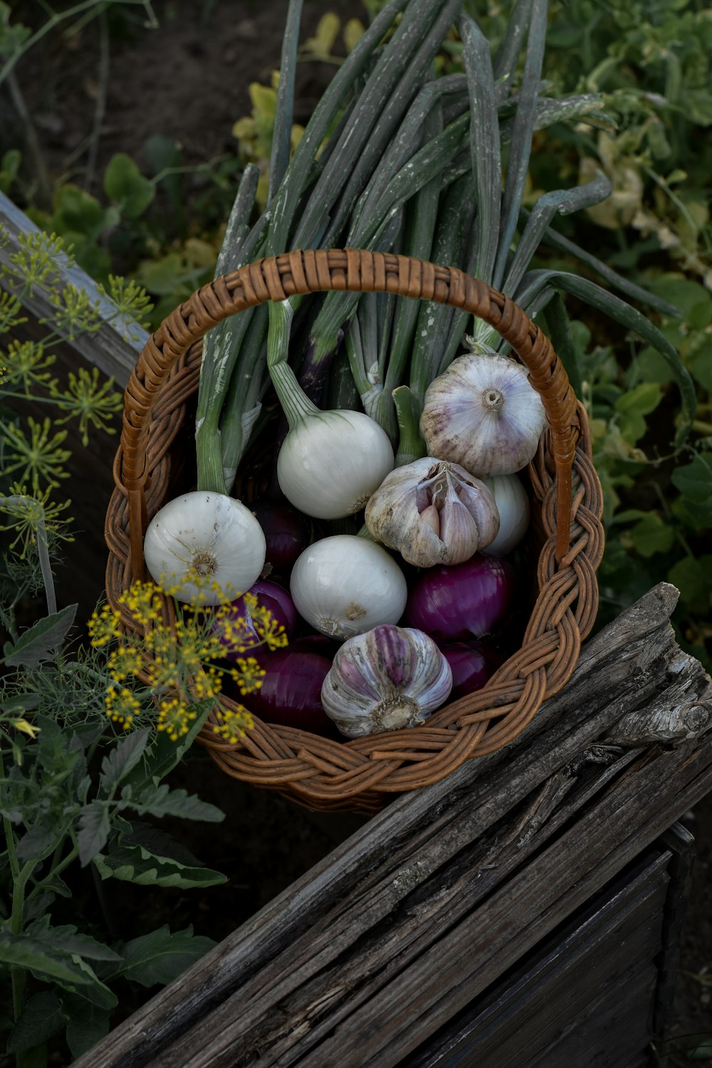 a basket of eggs