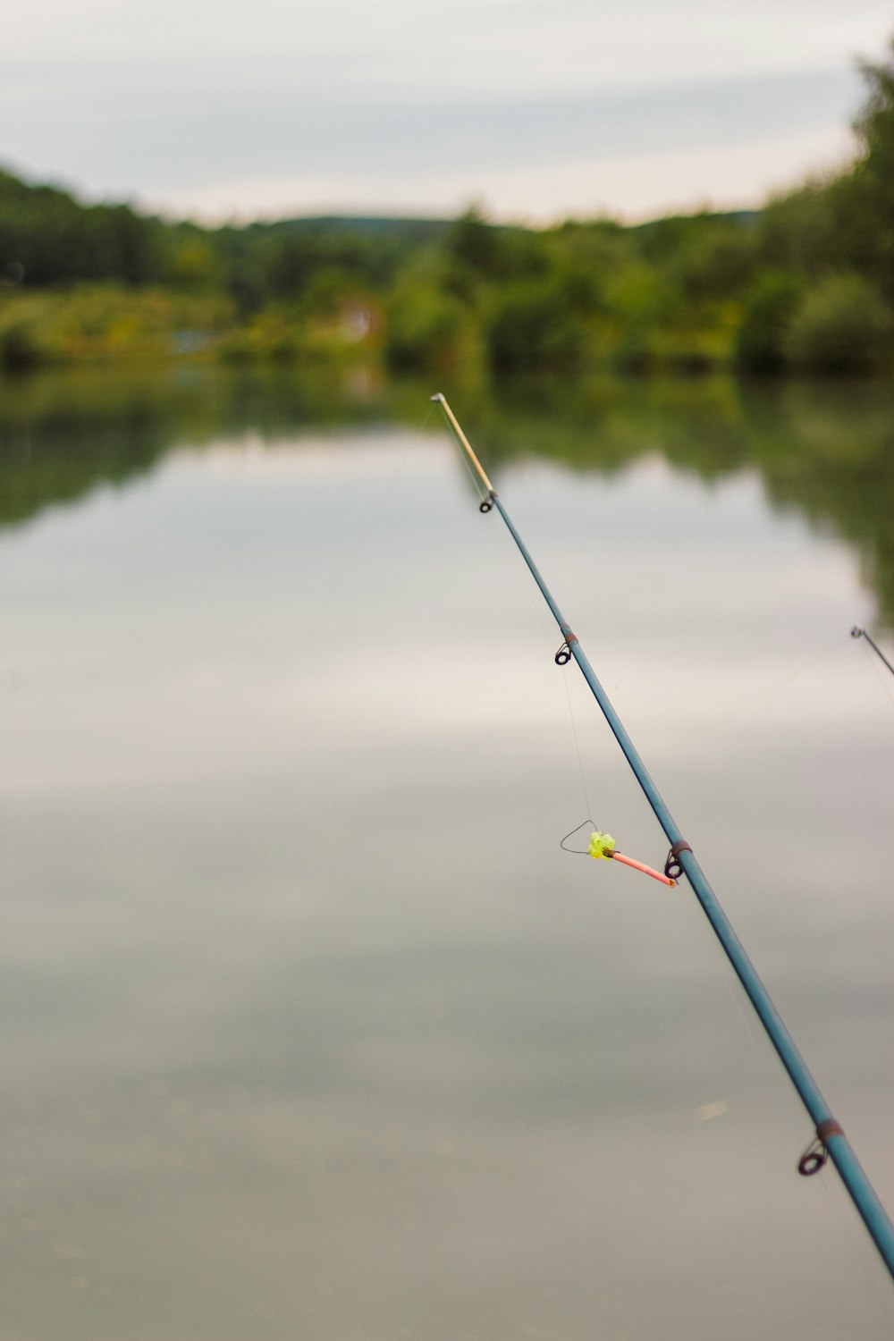 a fishing pole in the water