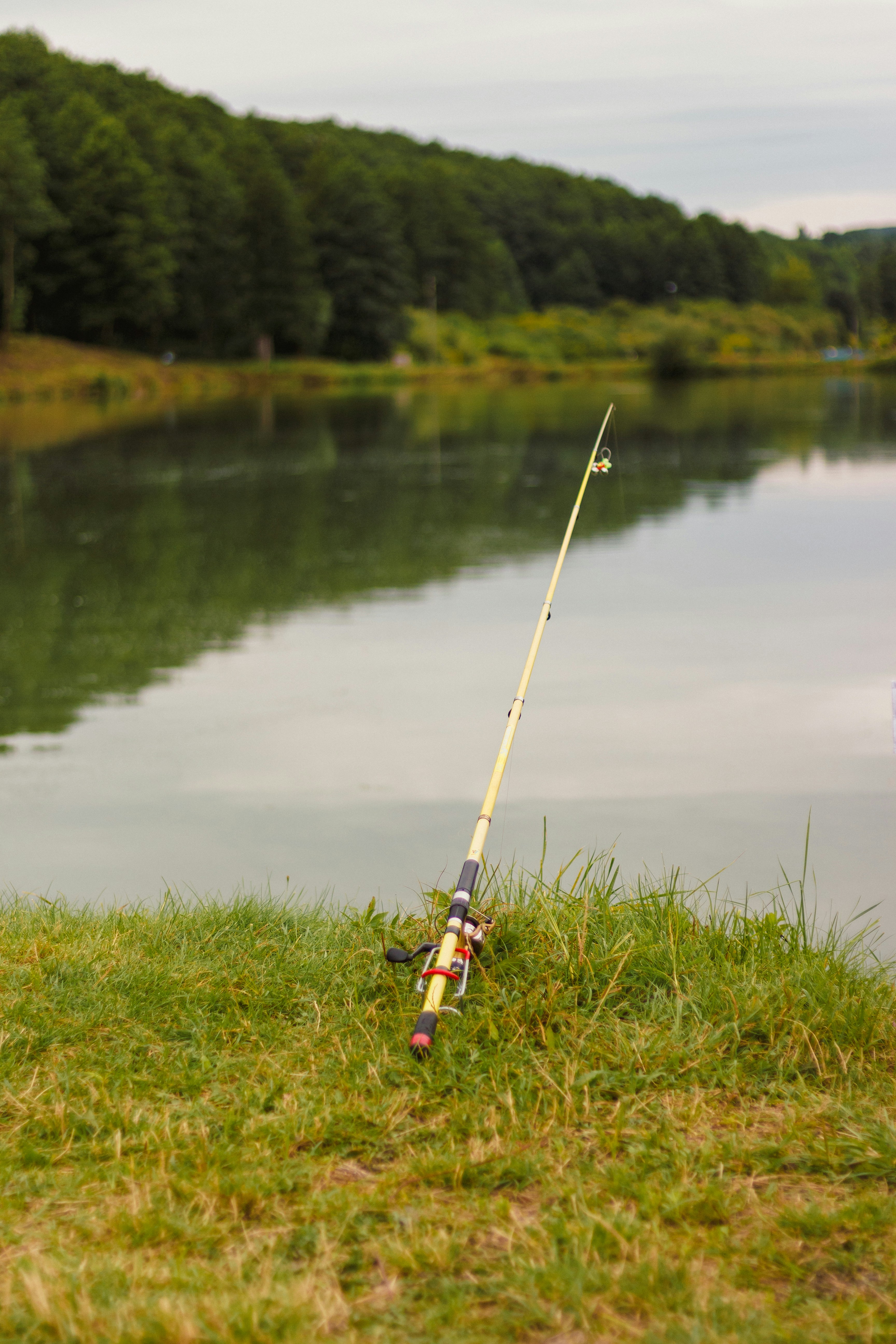 Photo by viktorsmoliak