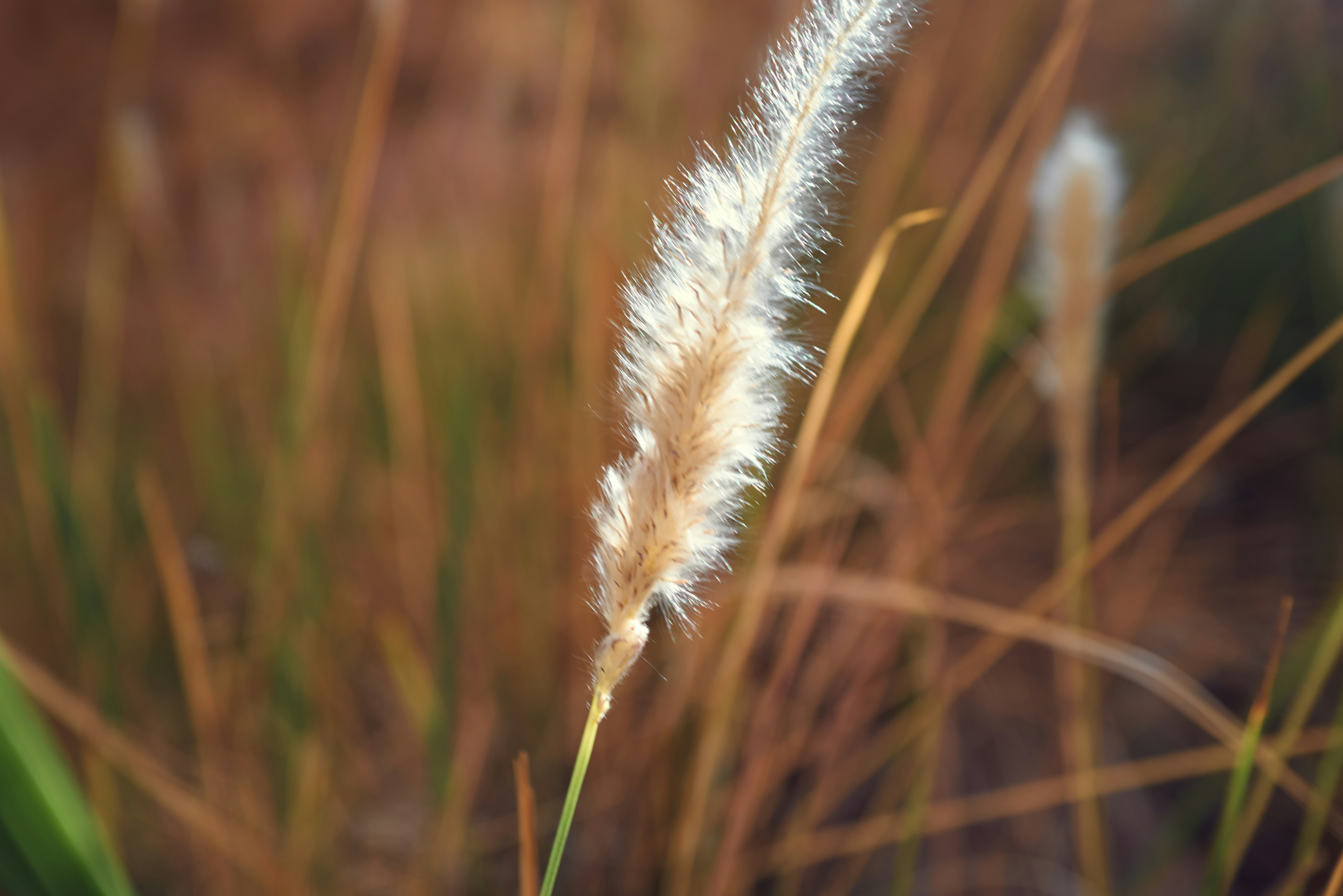 Photo by raimondklavins