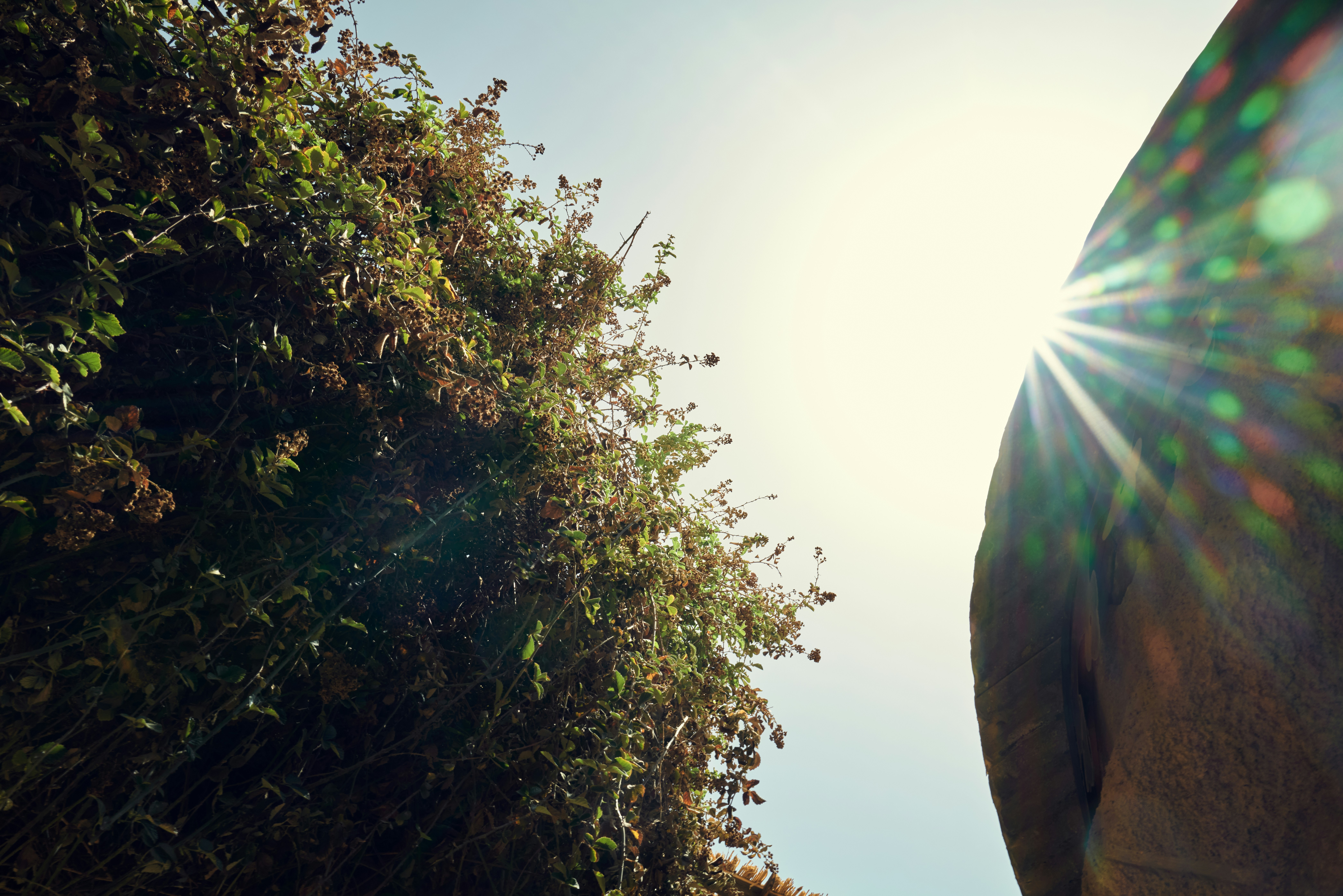 Photo by raimondklavins