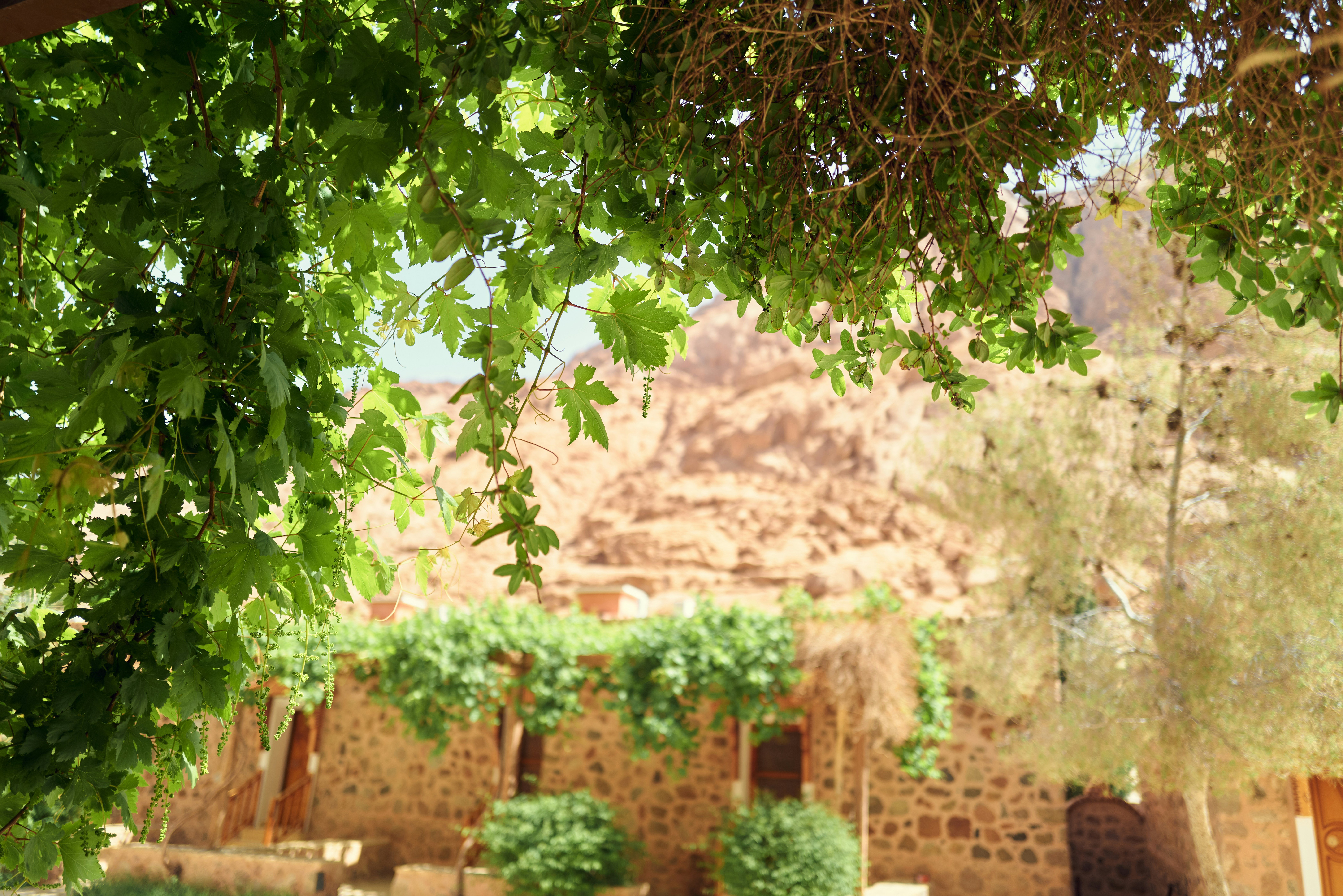 Photo by raimondklavins