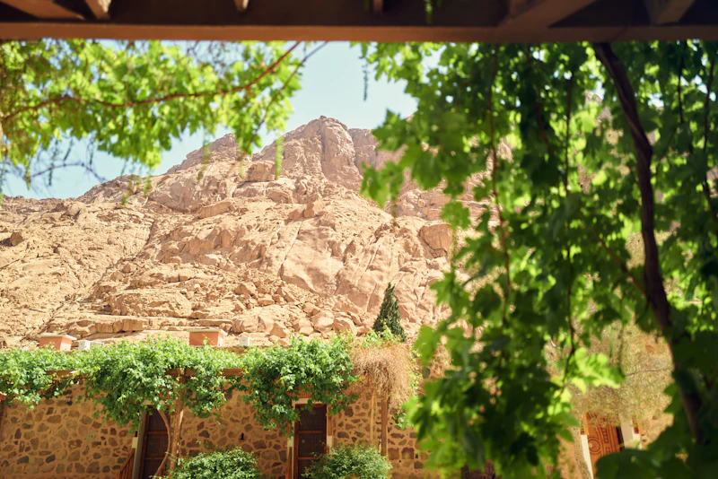 Best Rooftop Cafes in Dahab With Views Worth the Climb