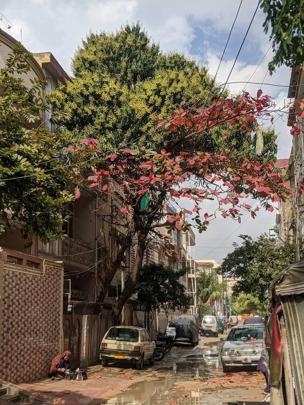 uma árvore com flores cor-de-rosa