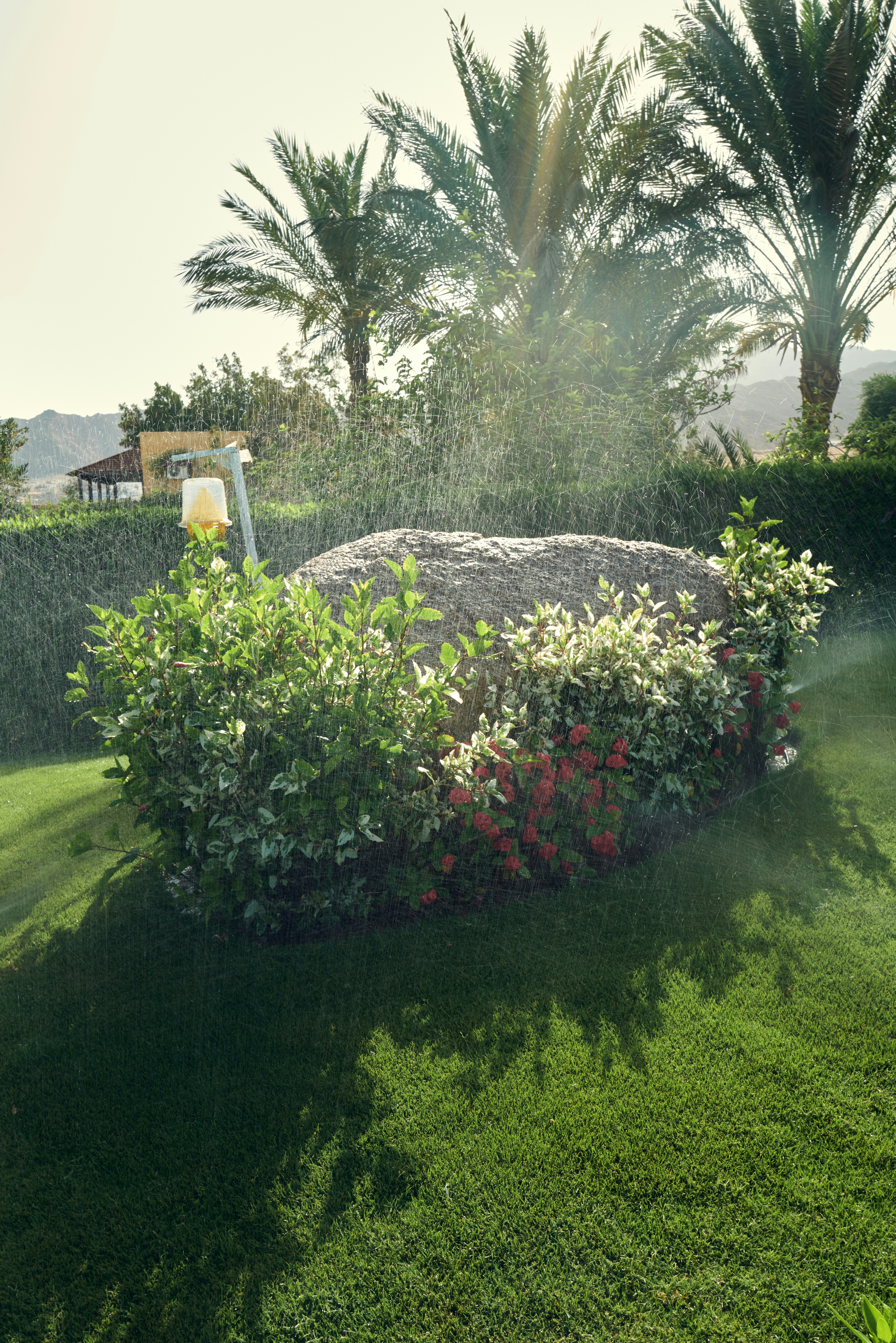 Photo by raimondklavins