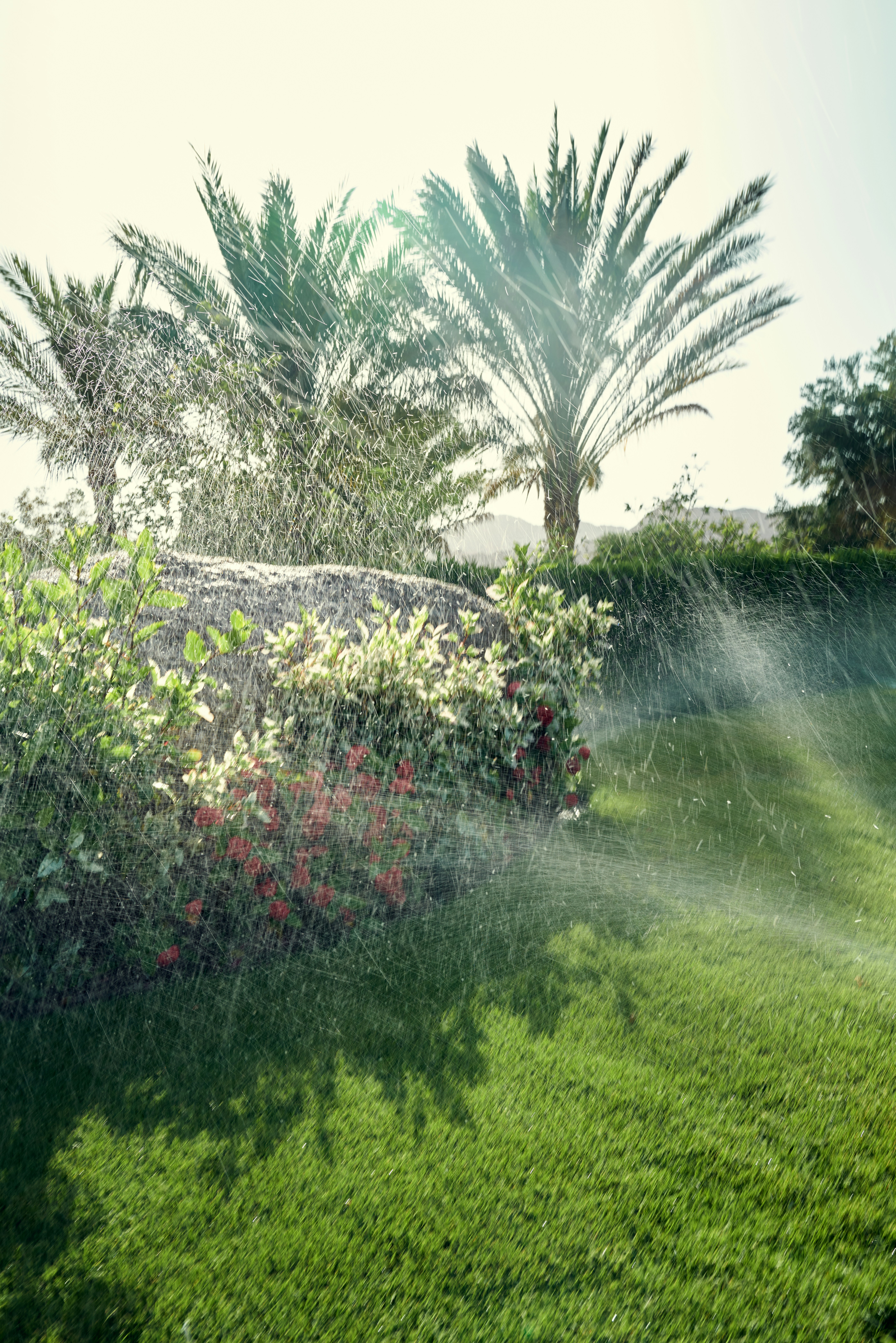 professional irrigation installation