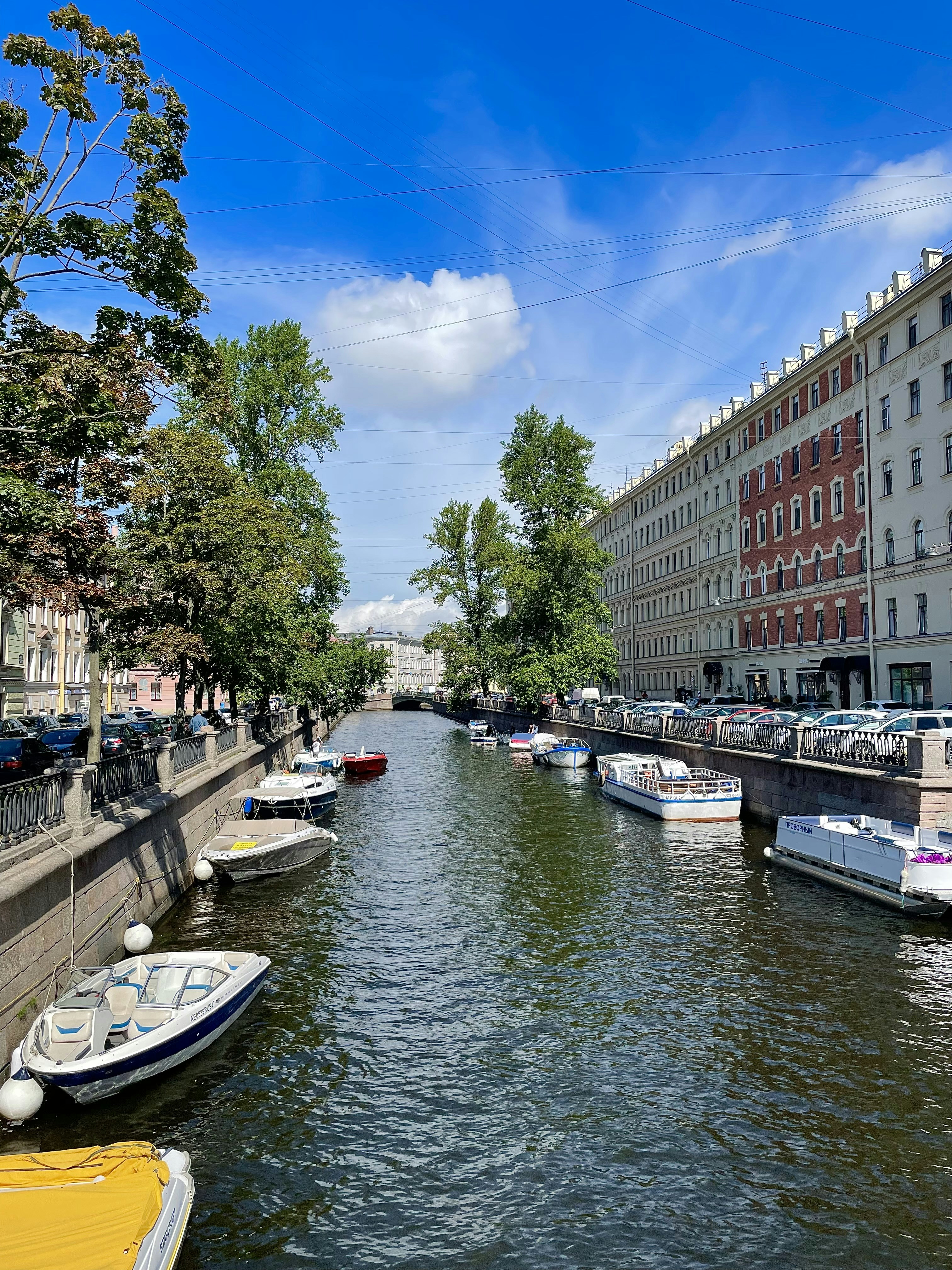 Photo by elizaveta2161