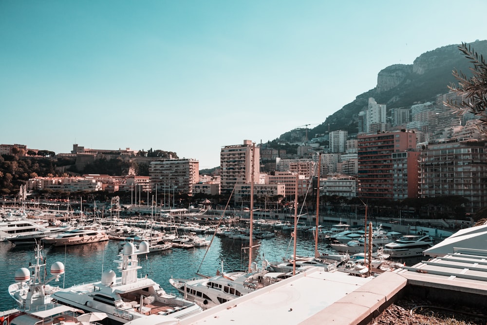 a marina with many boats