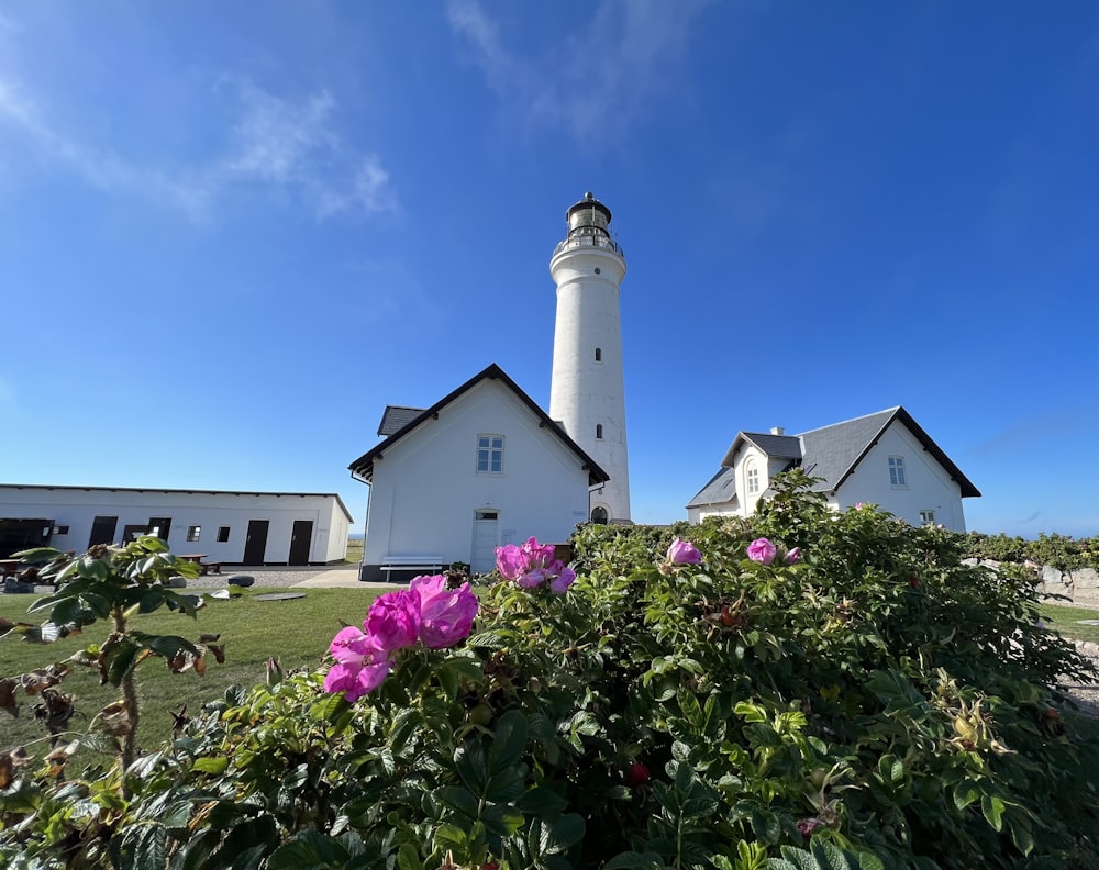 a white tower with a white top surrounded by plants and flowers