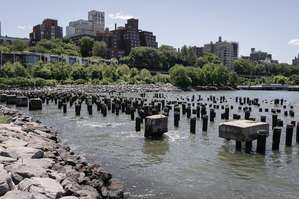 a body of water with rocks and buildings in the background