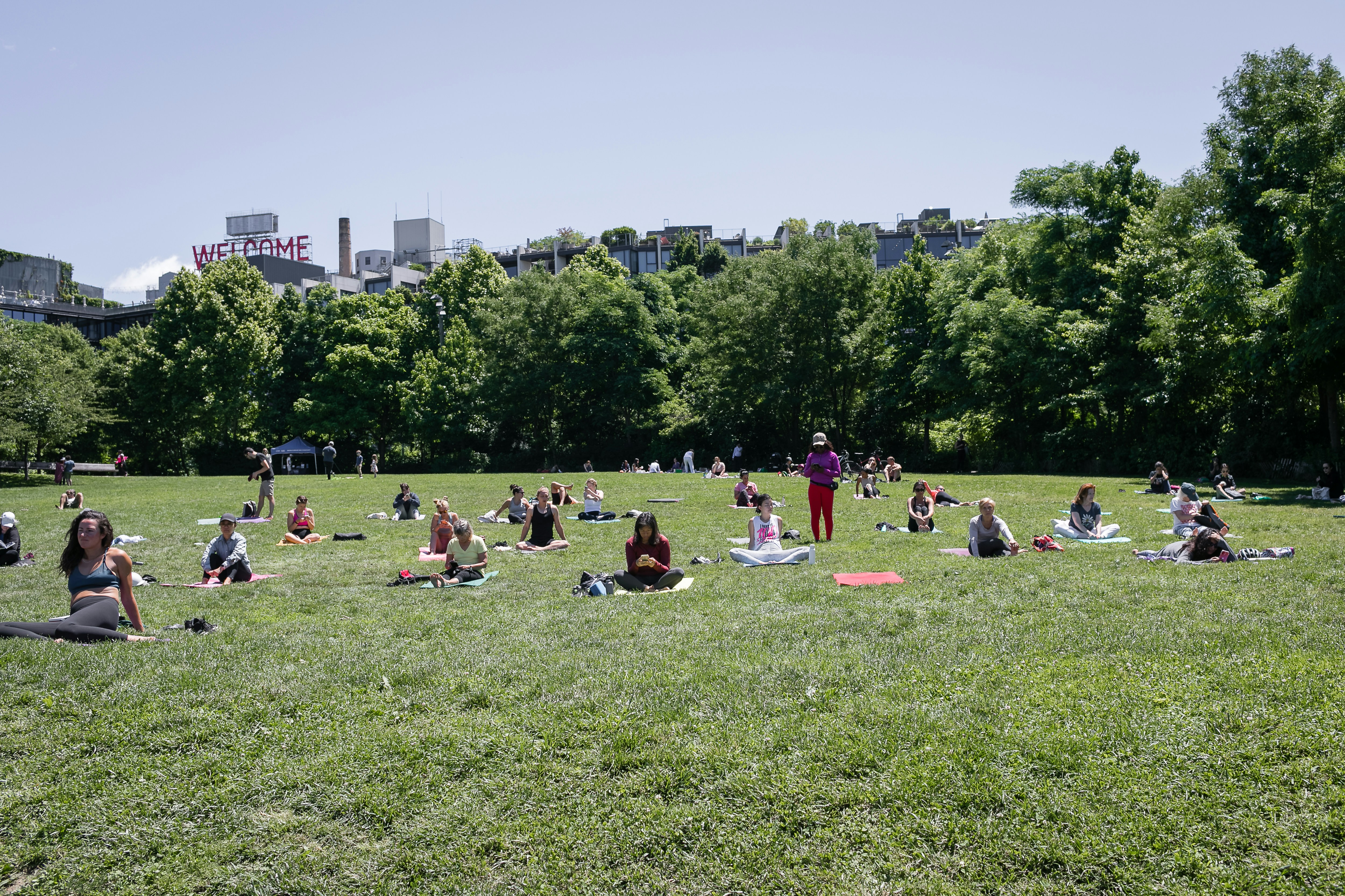 a group of people sitting on the grass