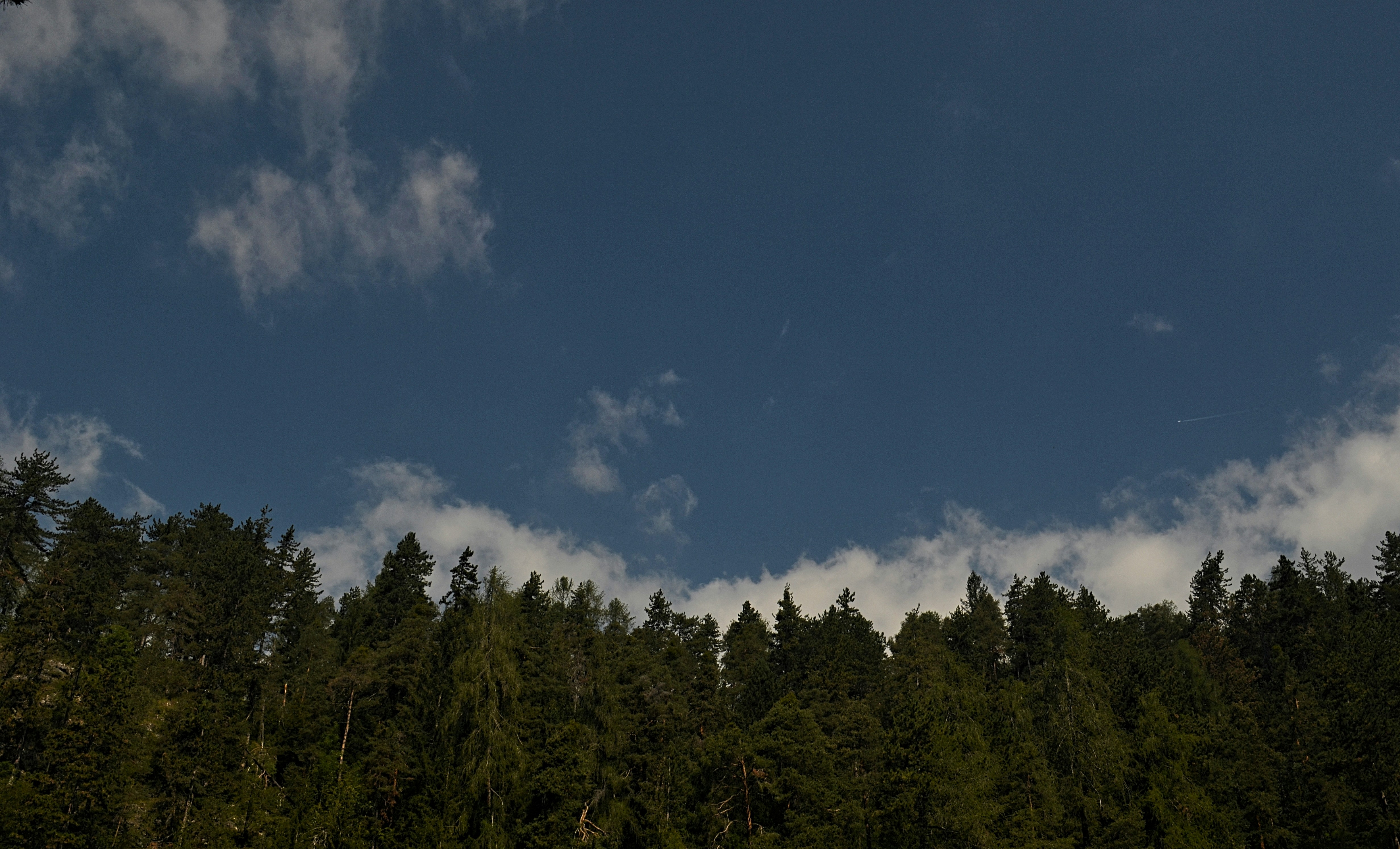 Photo by met_sambiase