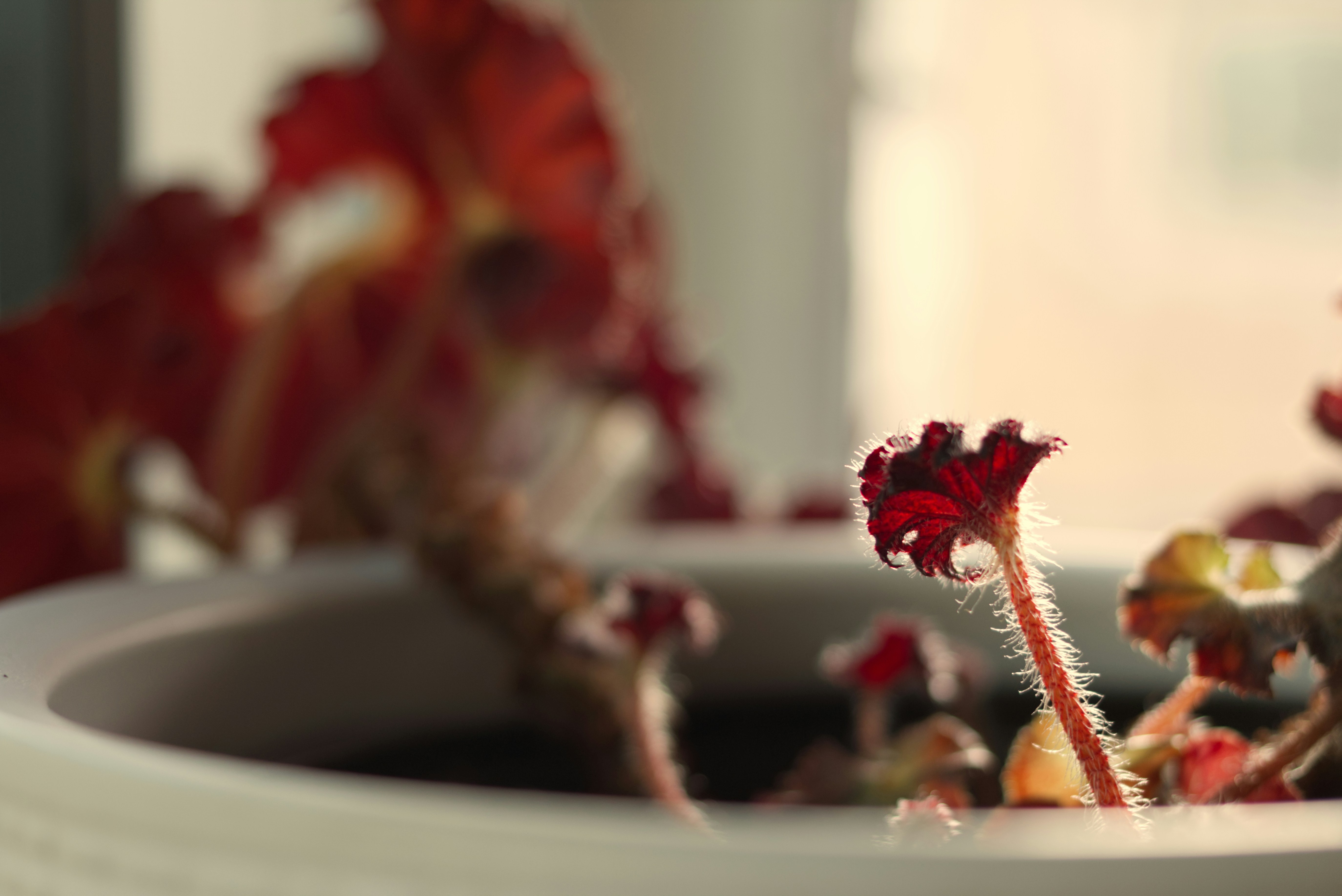 Photo by kelsymichael