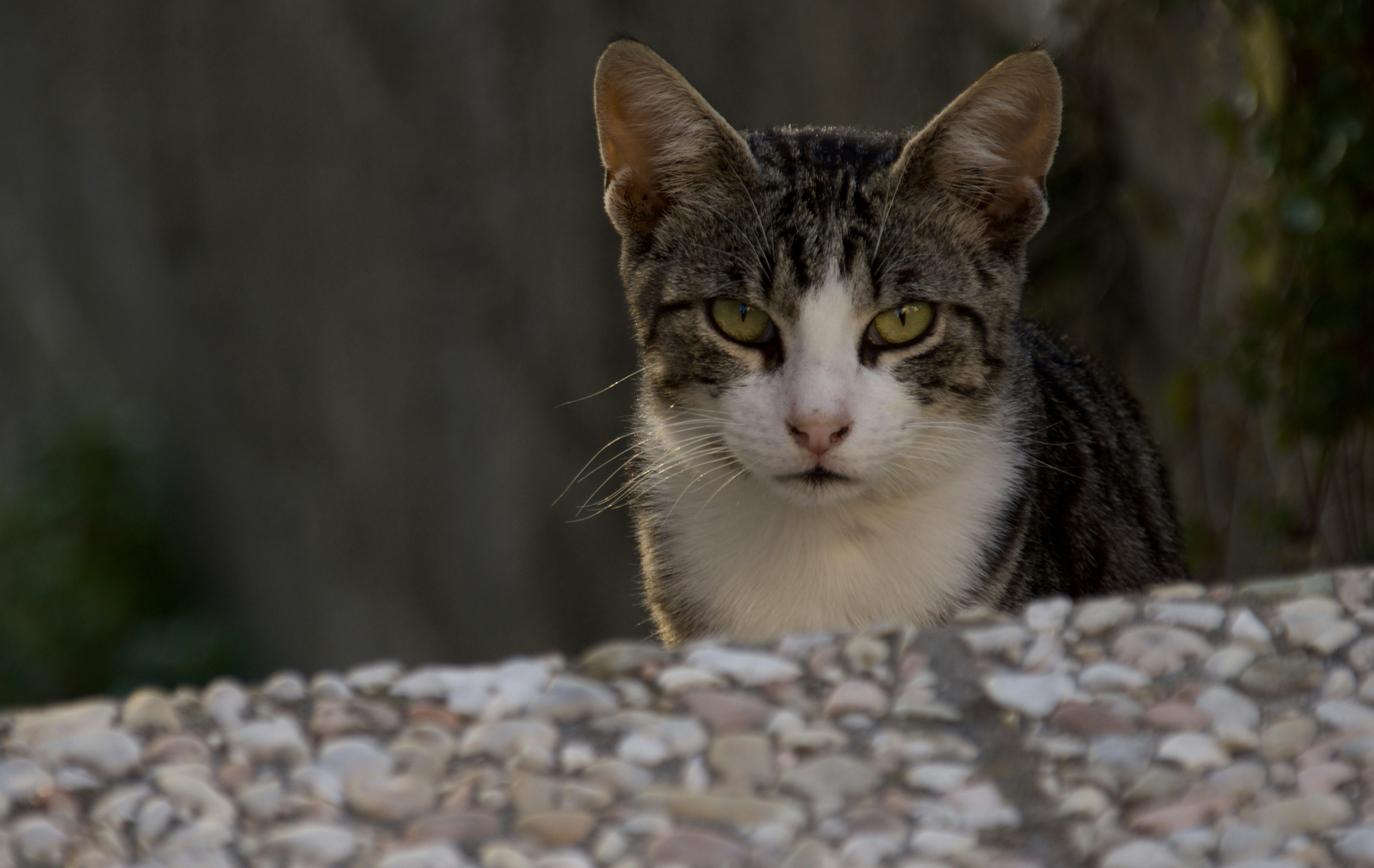 Photo by mariobeducci