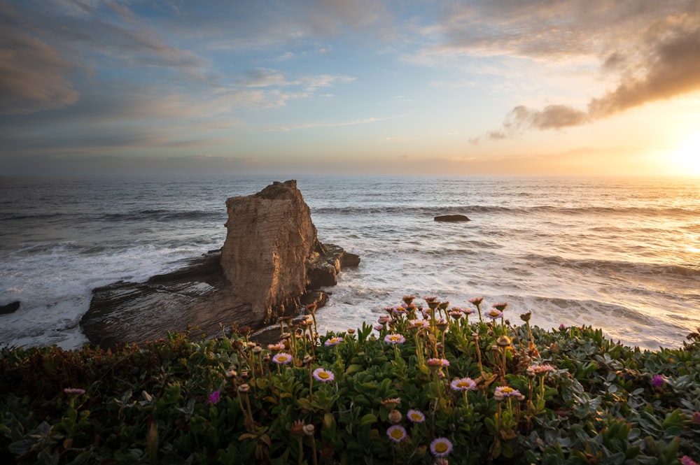 a rock on a beach