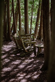 a couple of benches sit in a forest