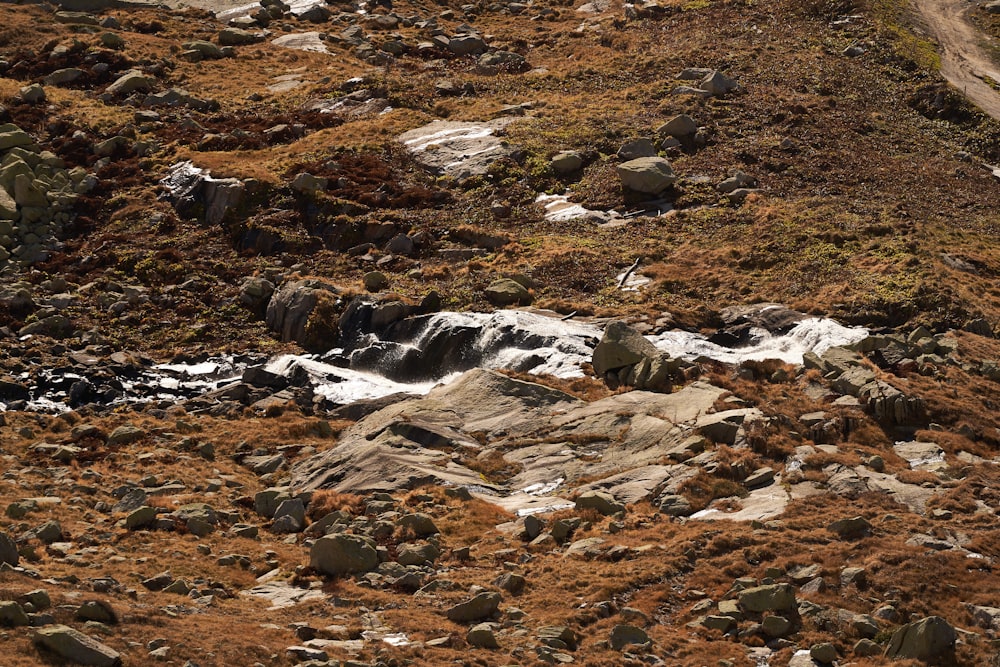 a rocky area with a stream running through it