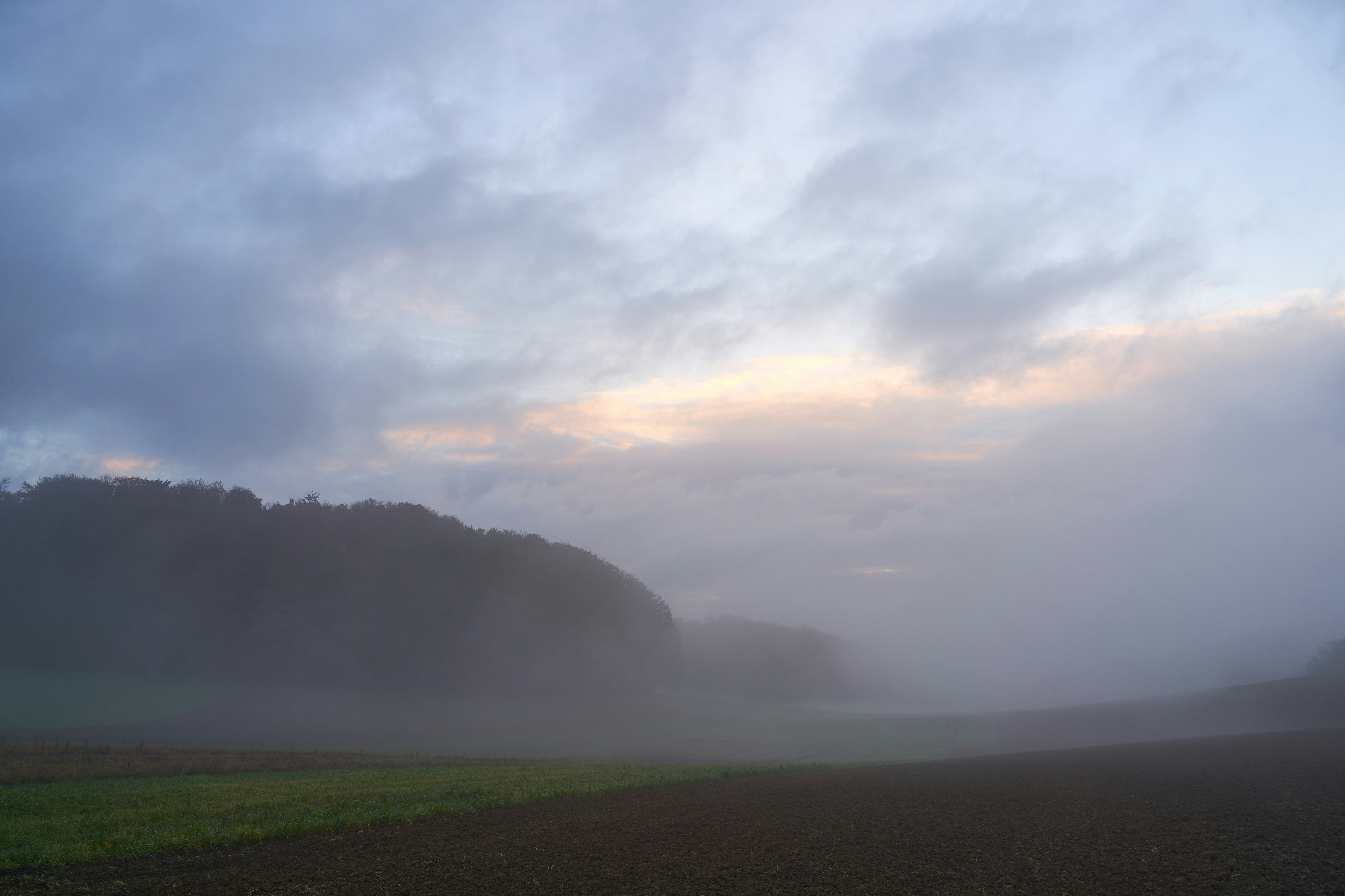 Photo by wolfgang_hasselmann