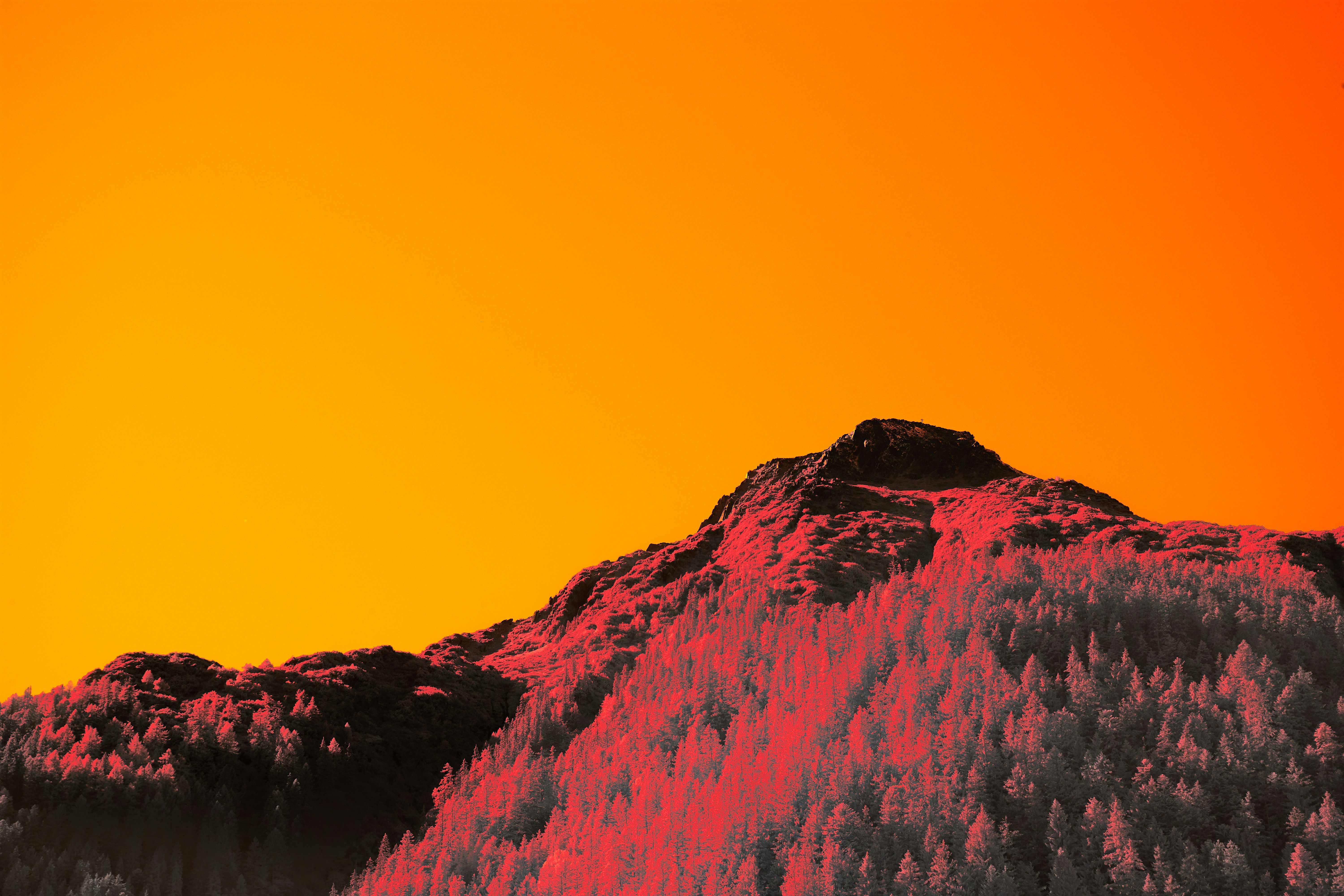 Photo by wolfgang_hasselmann